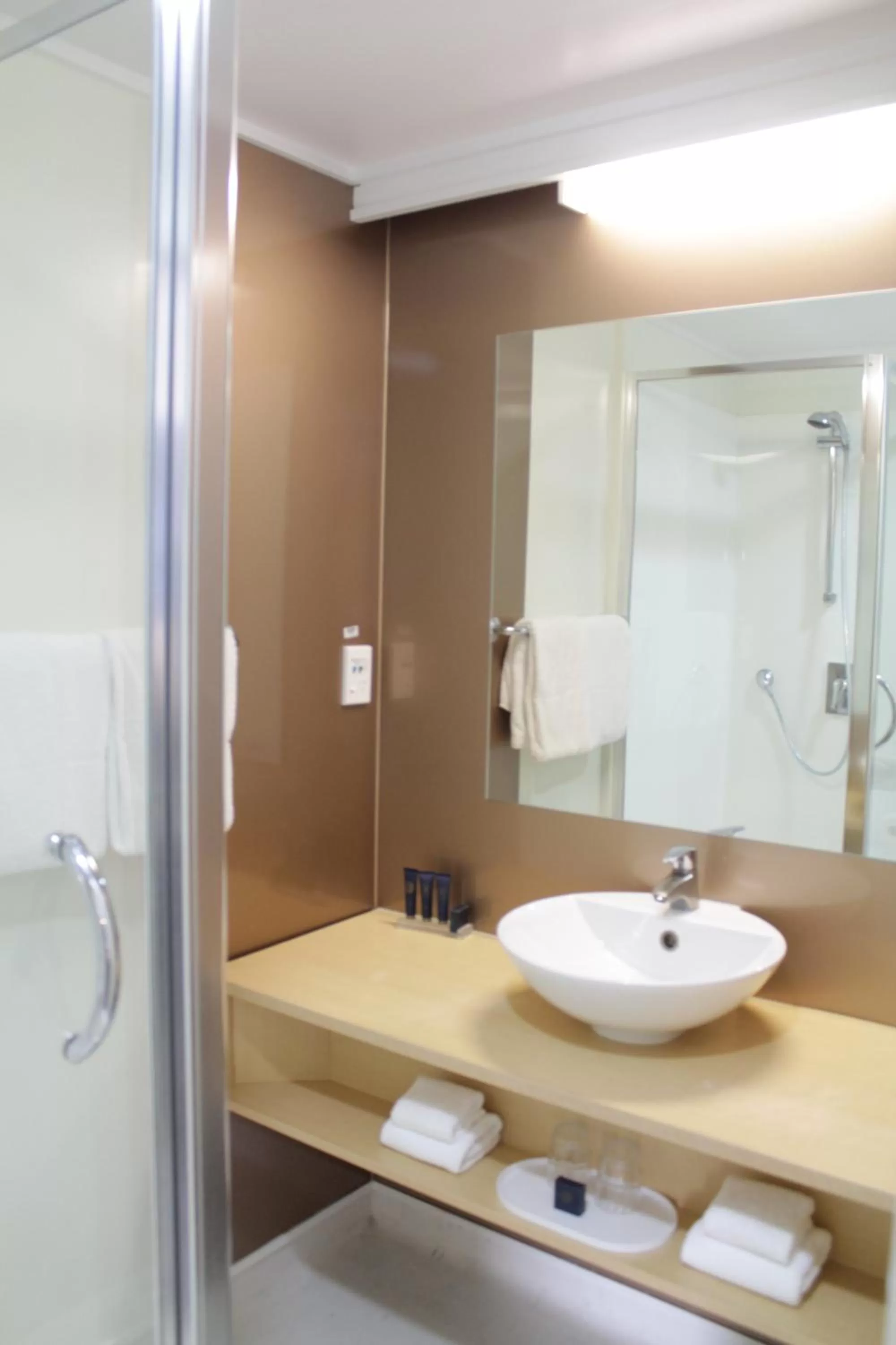 Bathroom in Willis Wellington Hotel