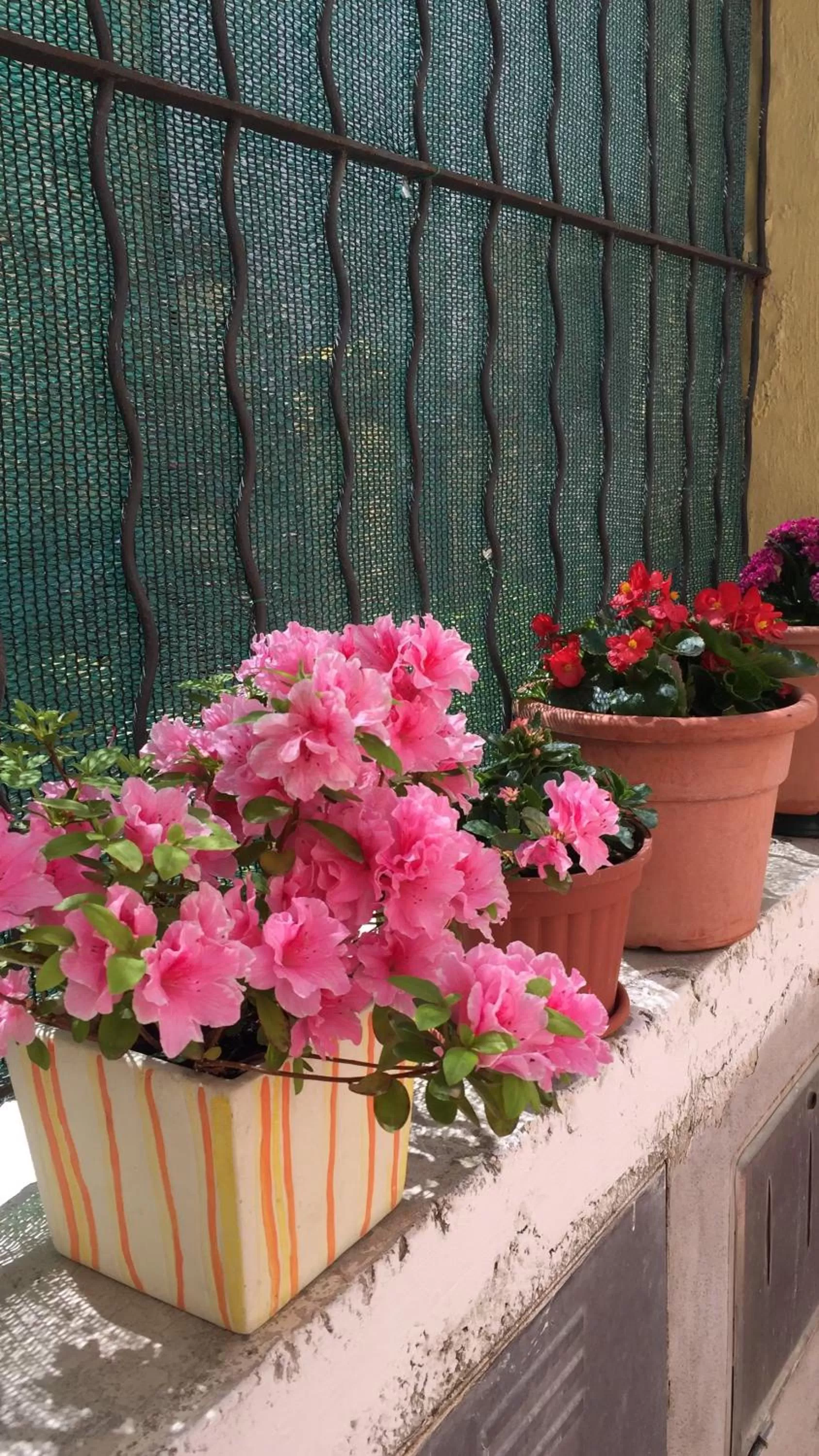 Floor plan in B&B Le Campanelle