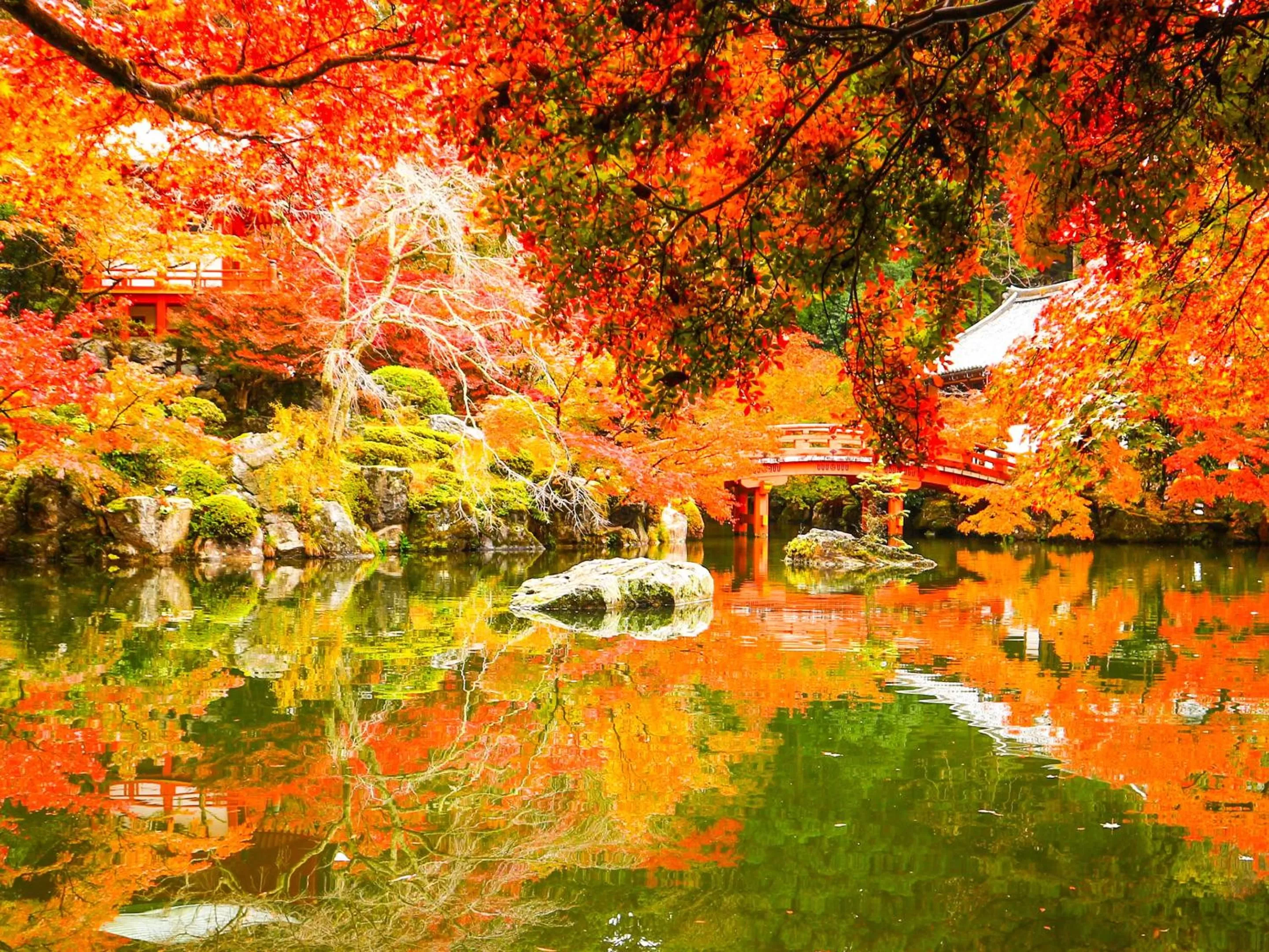 Nearby landmark in eph KYOTO