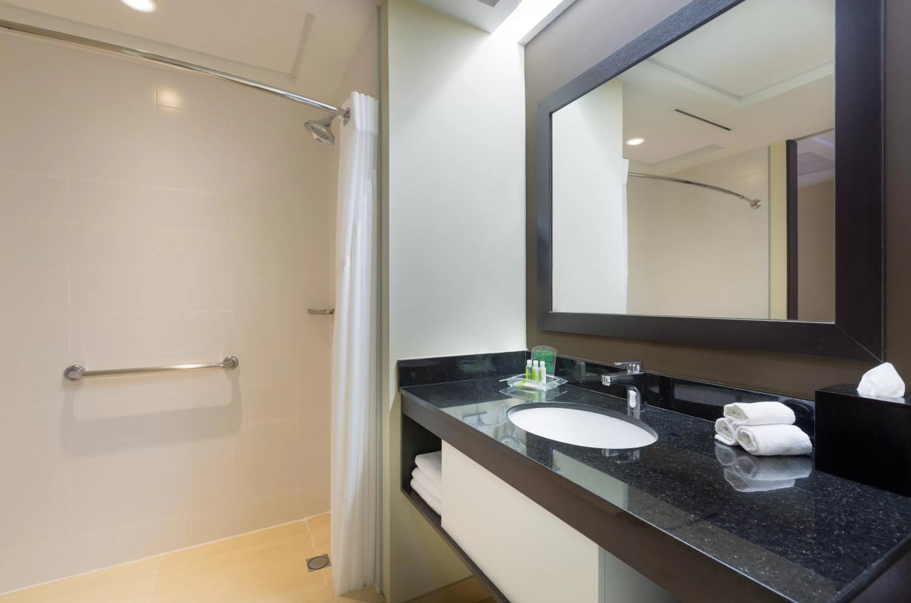 Bathroom in Holiday Inn Panama Distrito Financiero by IHG