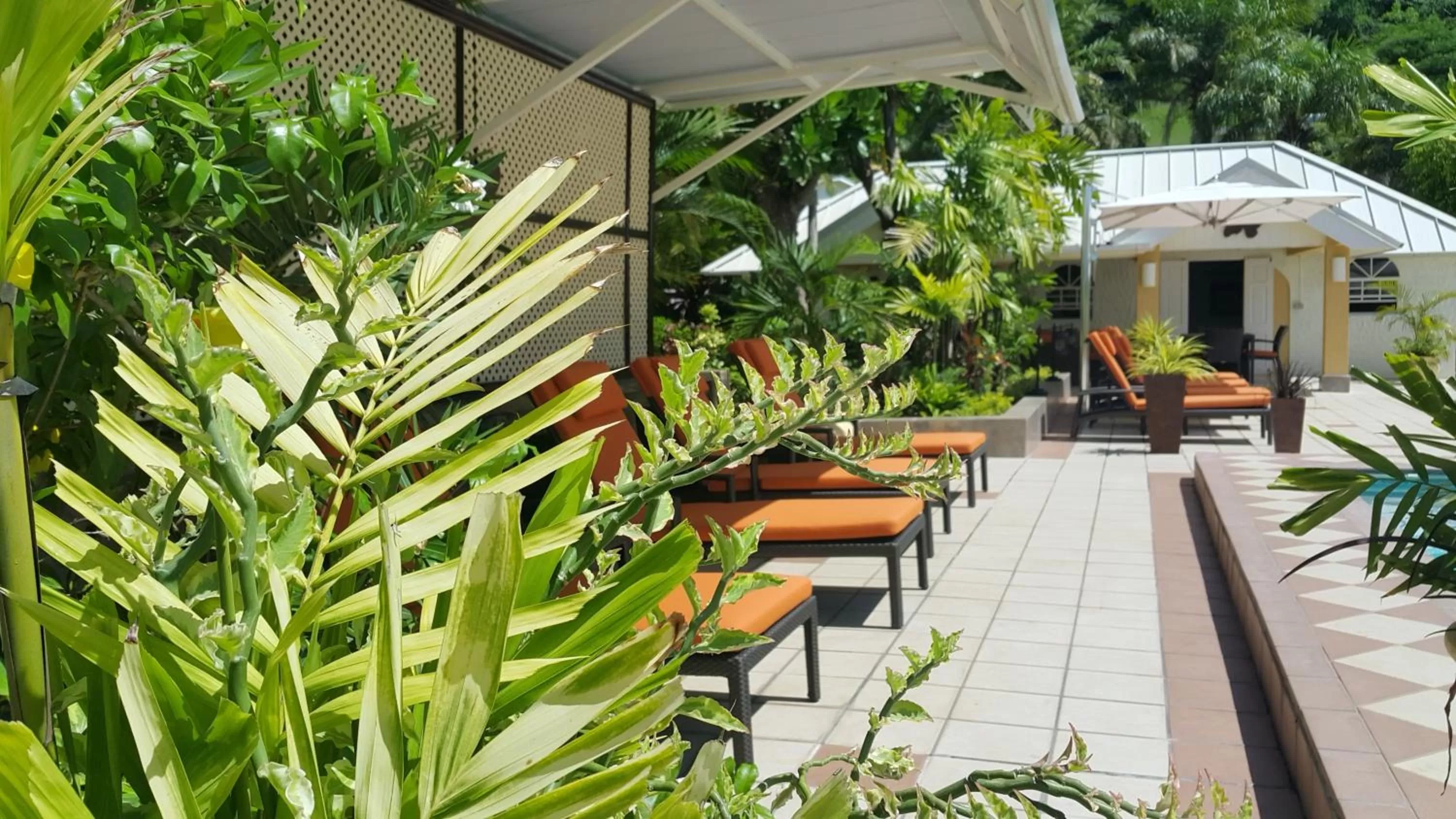Patio in Blue Horizons Garden Resort