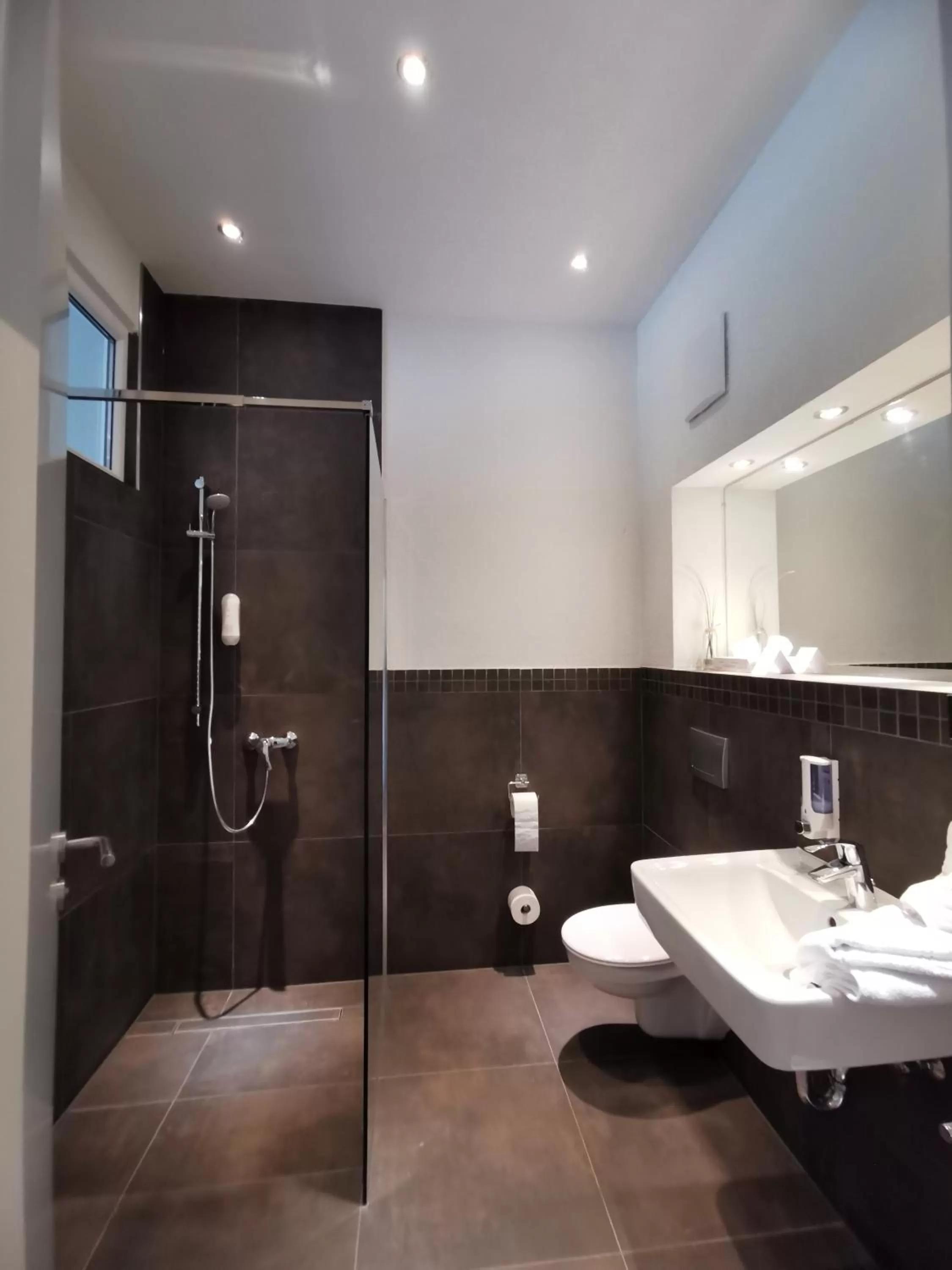 Shower in Hotel Gutsmühle