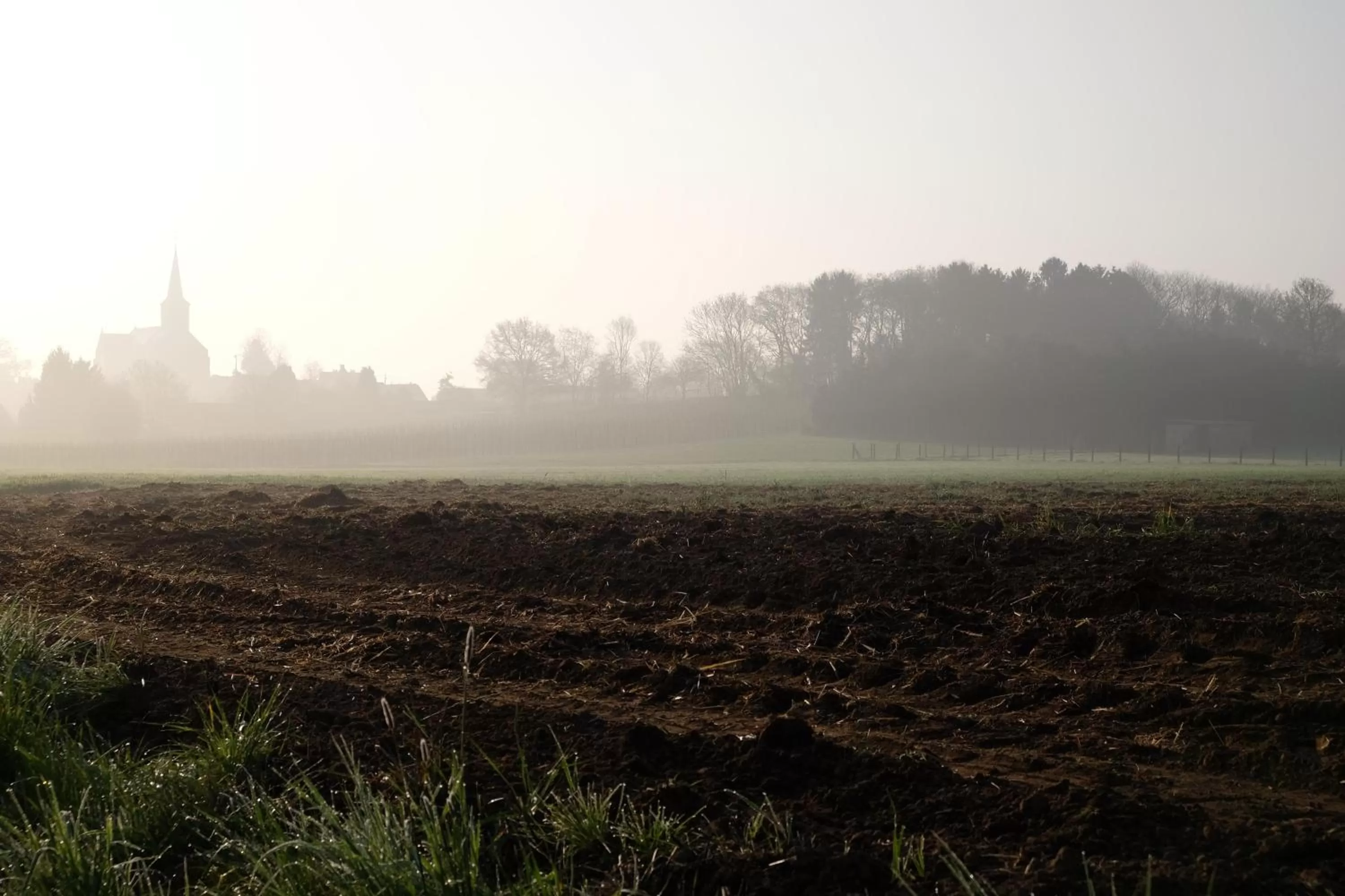 Natural landscape in B&B Silentium