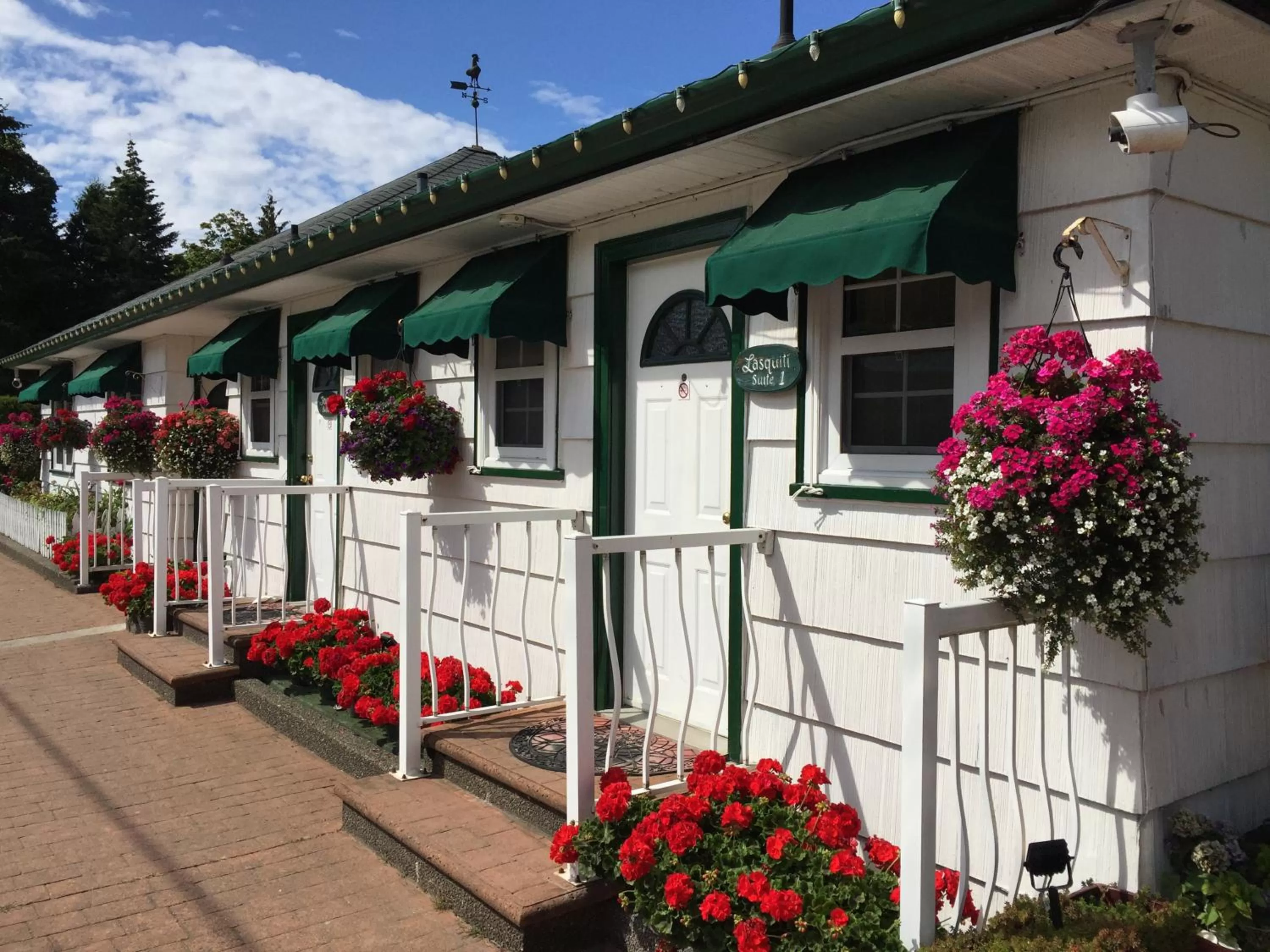 Buena Vista by the Sea