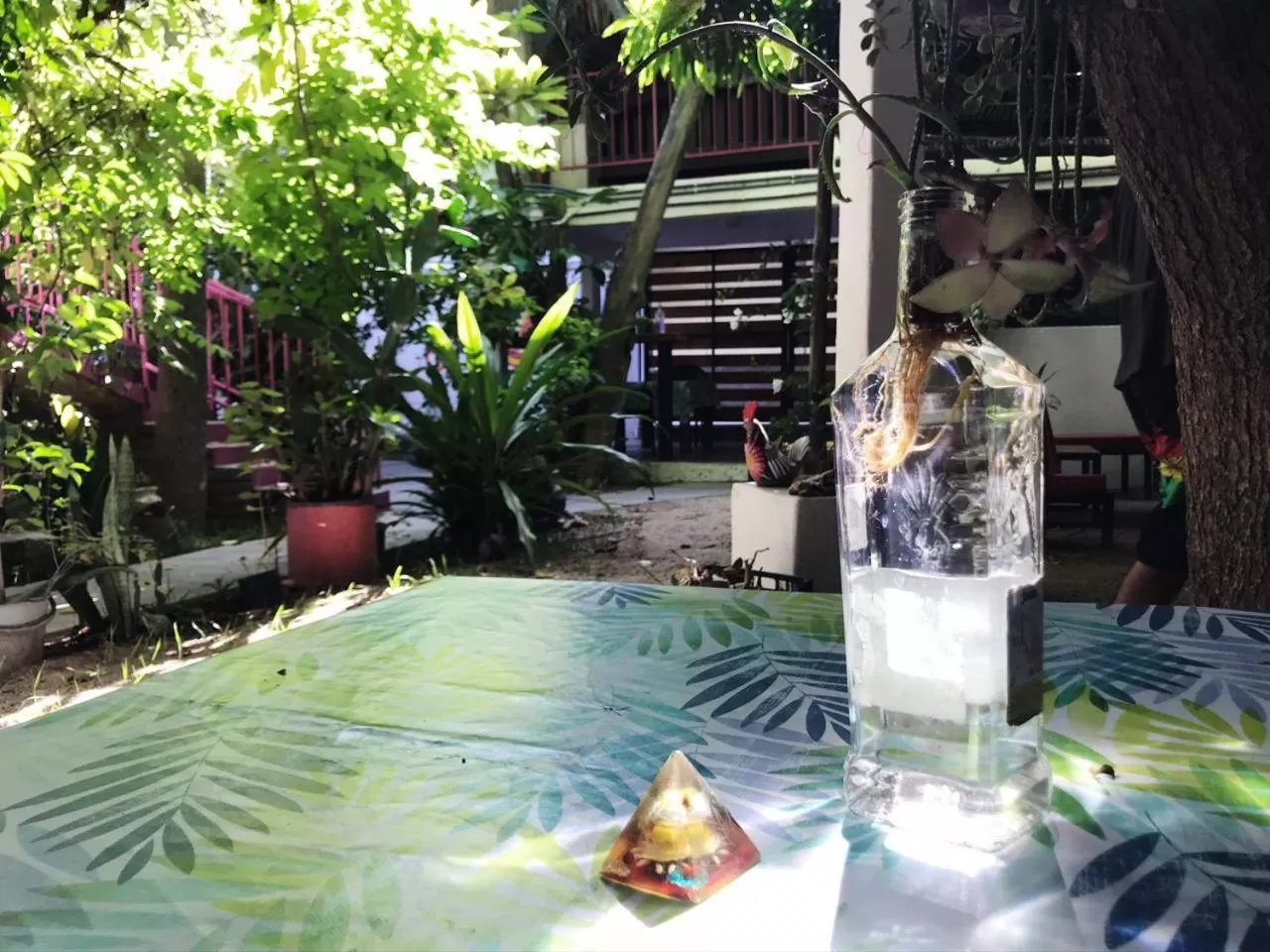 Restaurant/places to eat in Hotel Posada Señor Mañana