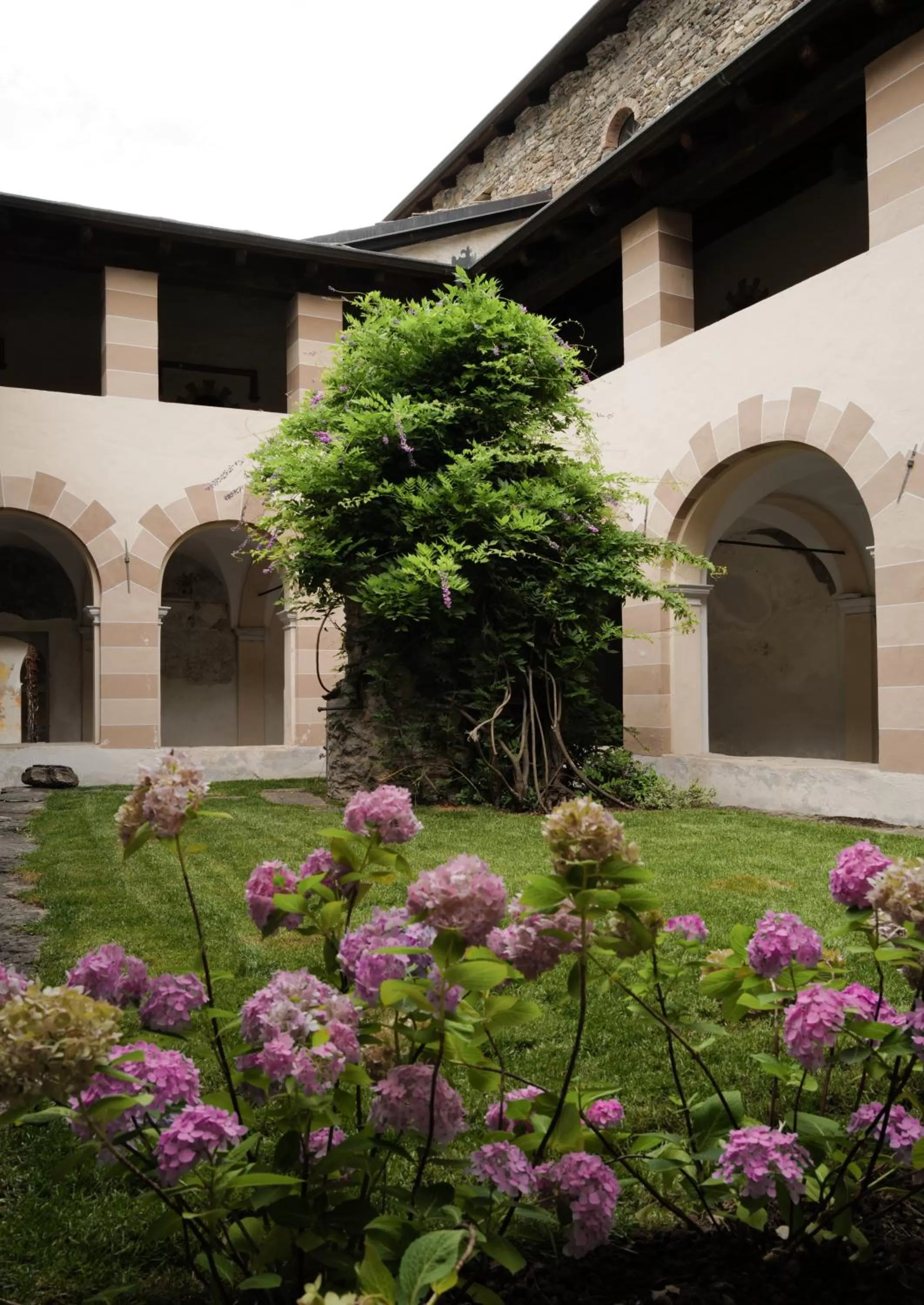 Garden in Convento Boutique Hotel