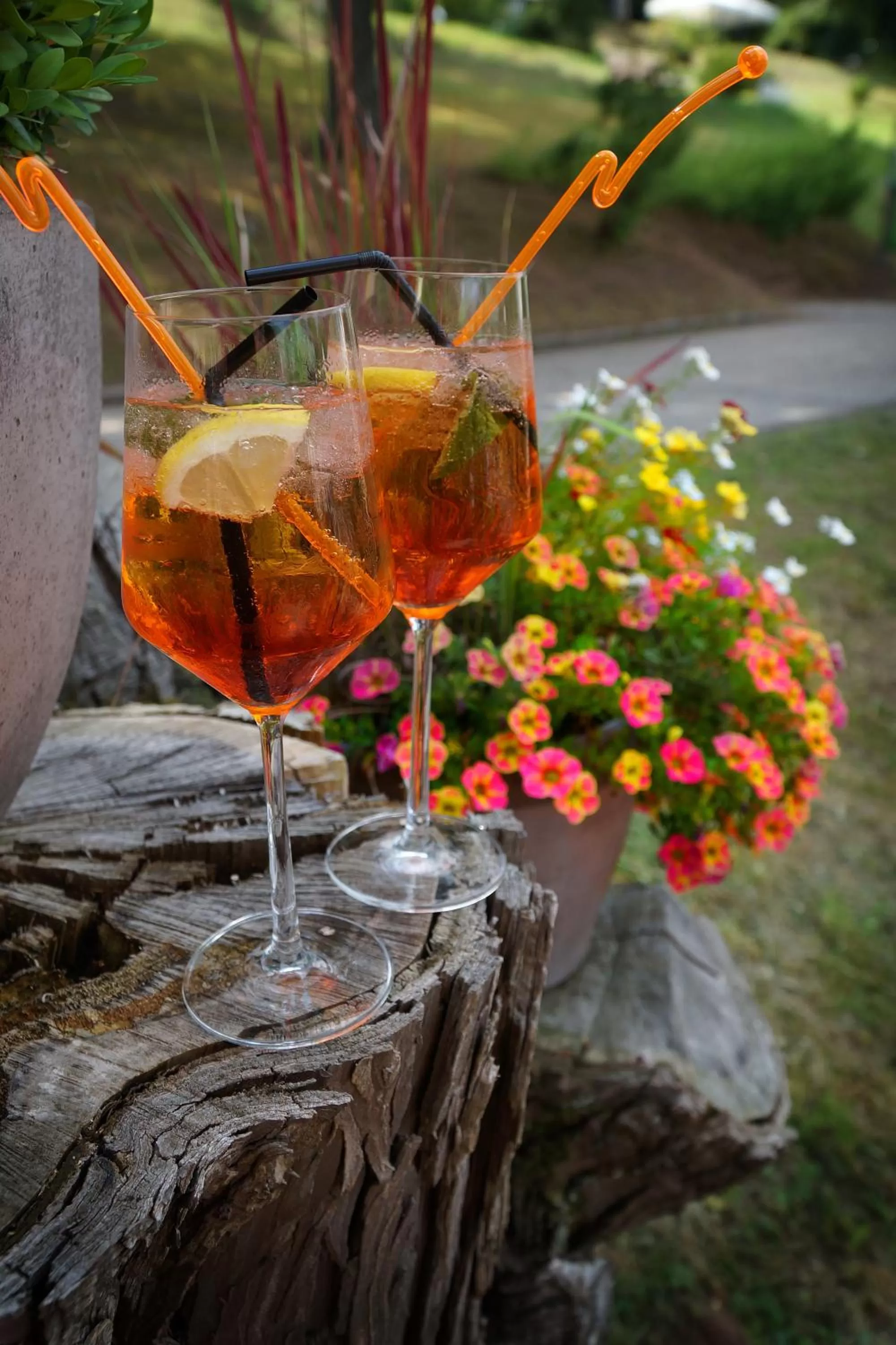 Balcony/Terrace in Hotel Teuchelwald