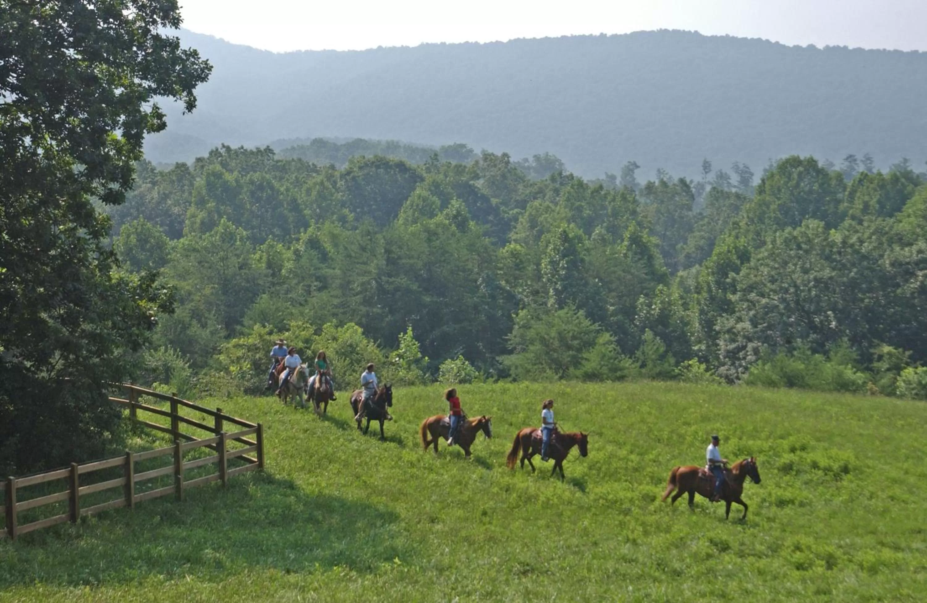 Horse-riding in Brasstown Valley Resort & Spa