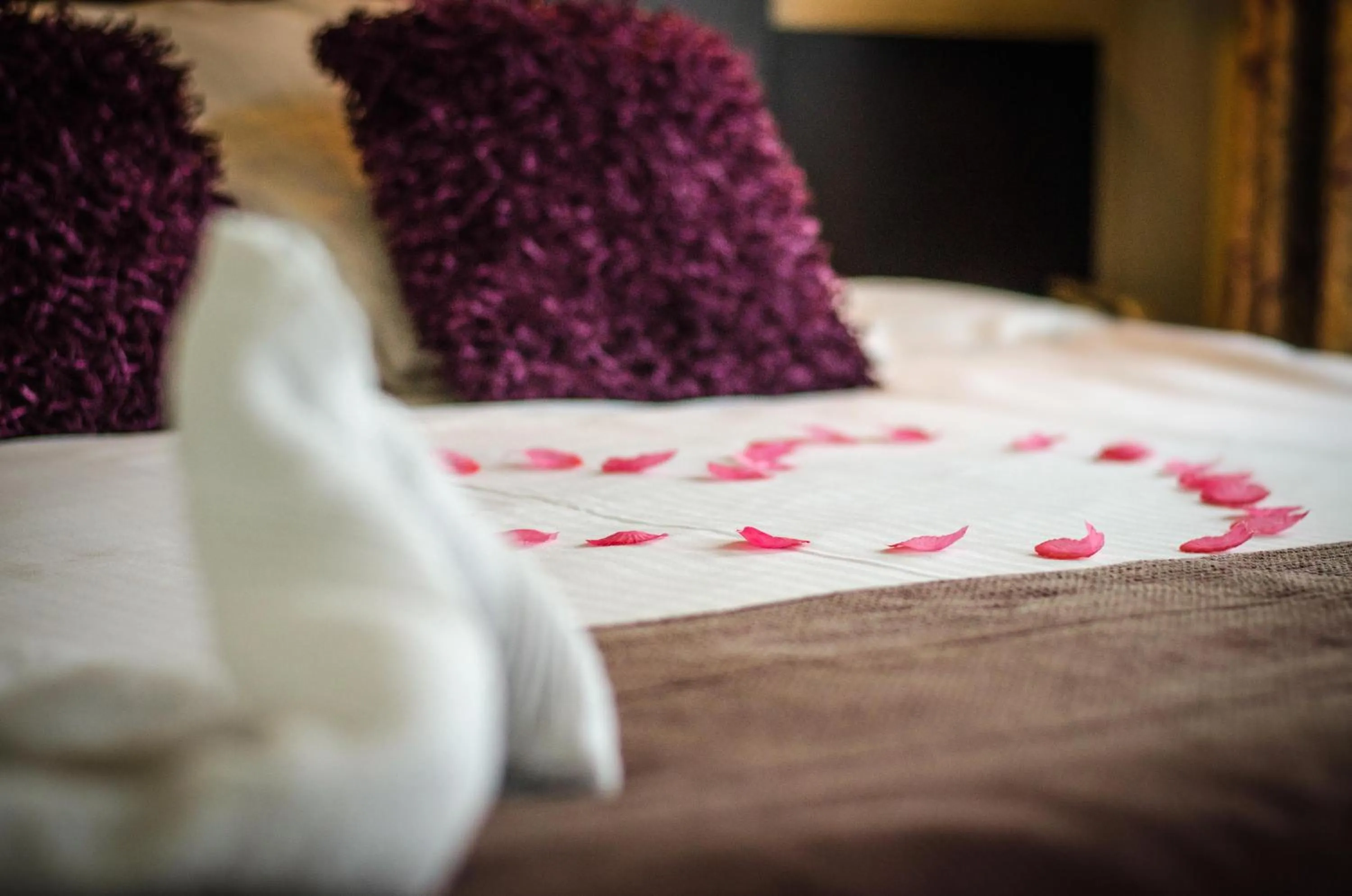 Budget Family Room in Hotel Gulden Vlies