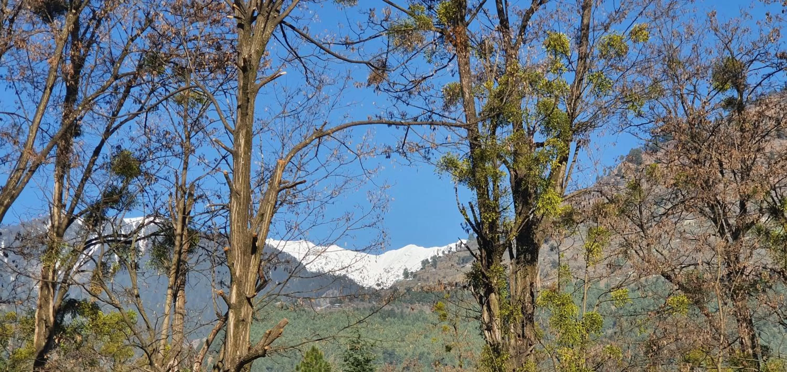 Natural landscape in Span Resort and Spa, Manali