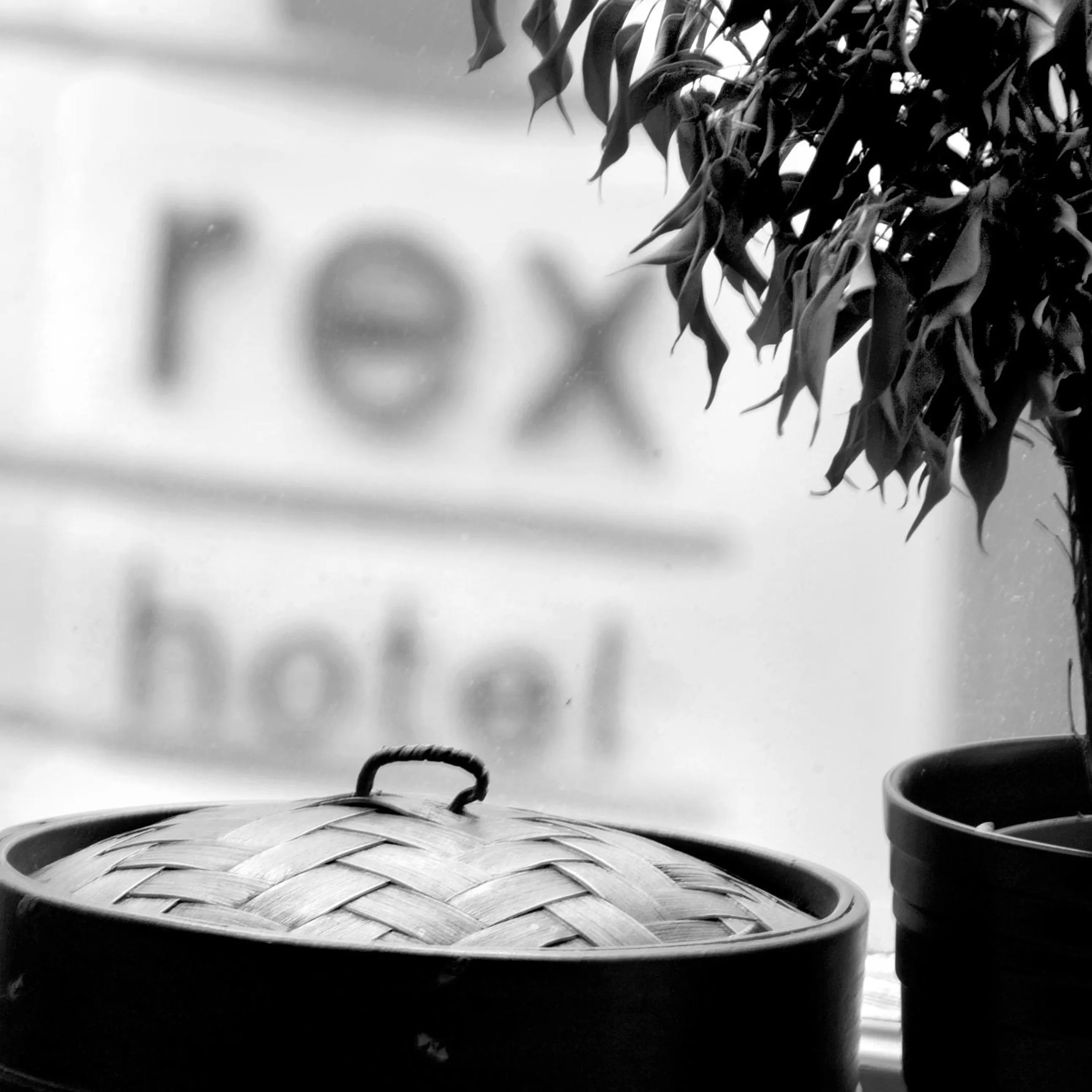 Decorative detail in Rex Hotel