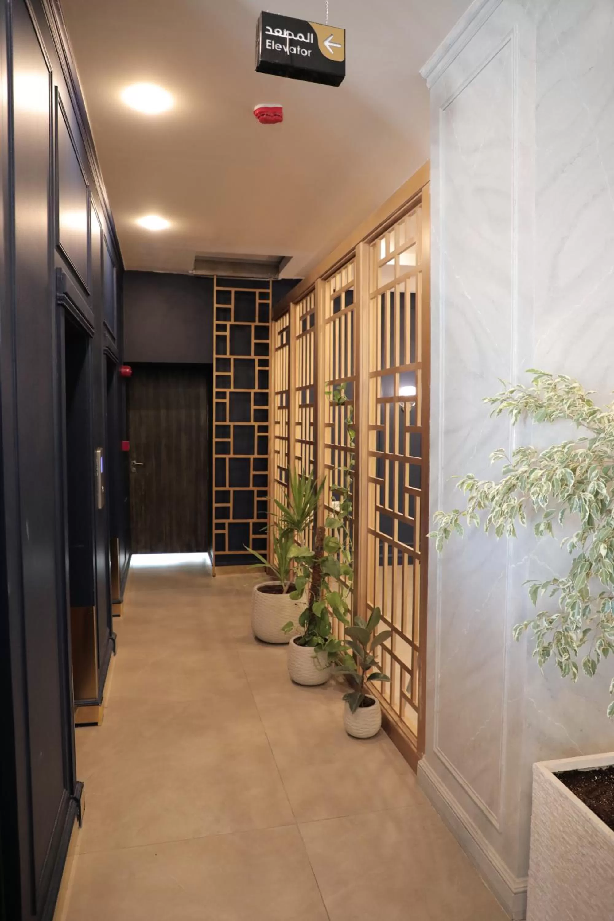 Balcony/Terrace in Nishan Hotel