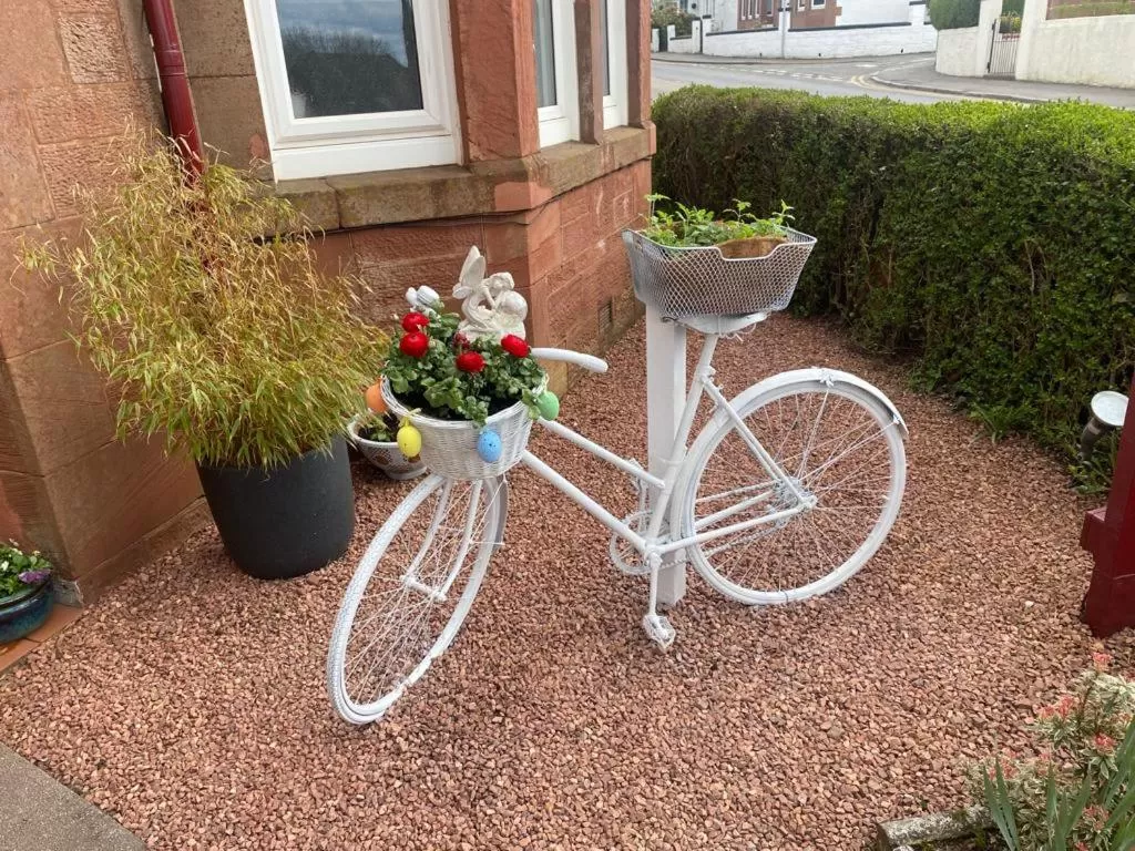 Garden in St Leonards Guest House