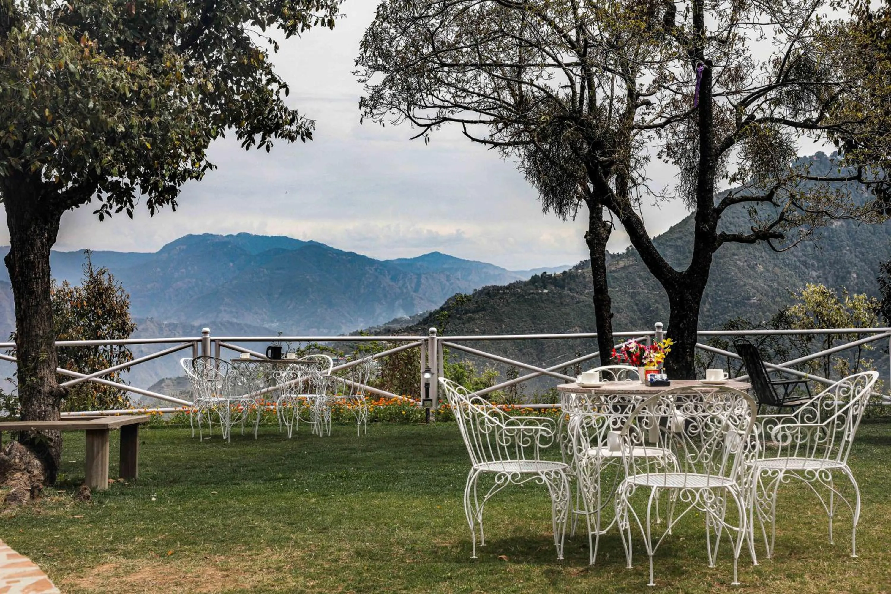 Spring in The Mountain Quail