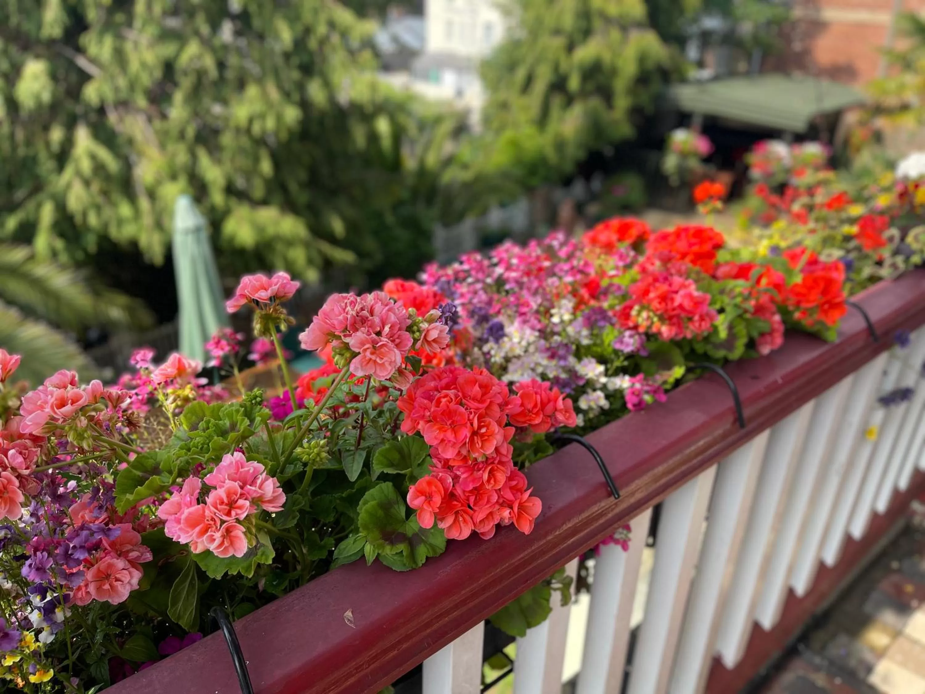 Garden in The Robin Hill