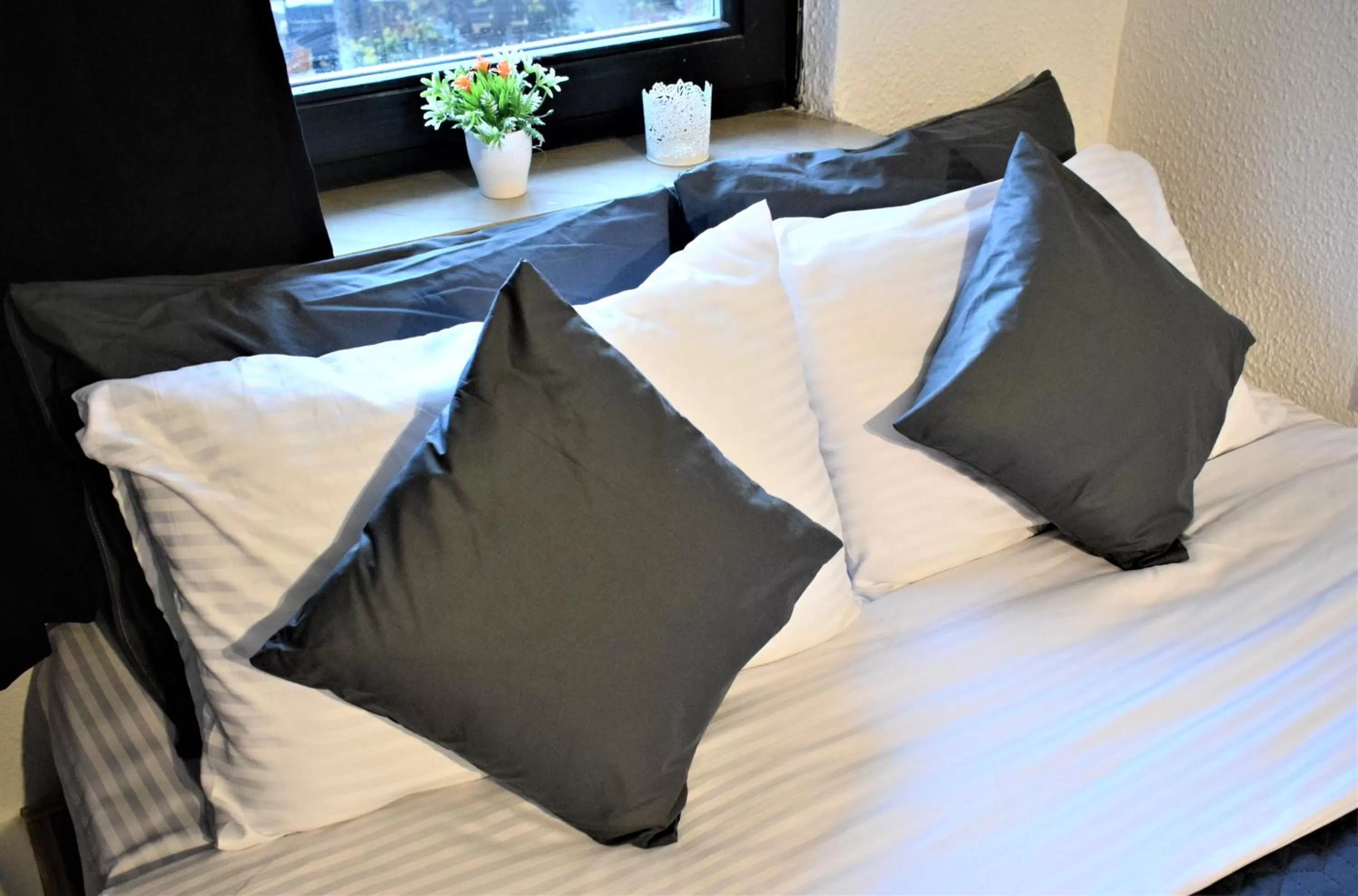 Bed in M - Square Private Rooms