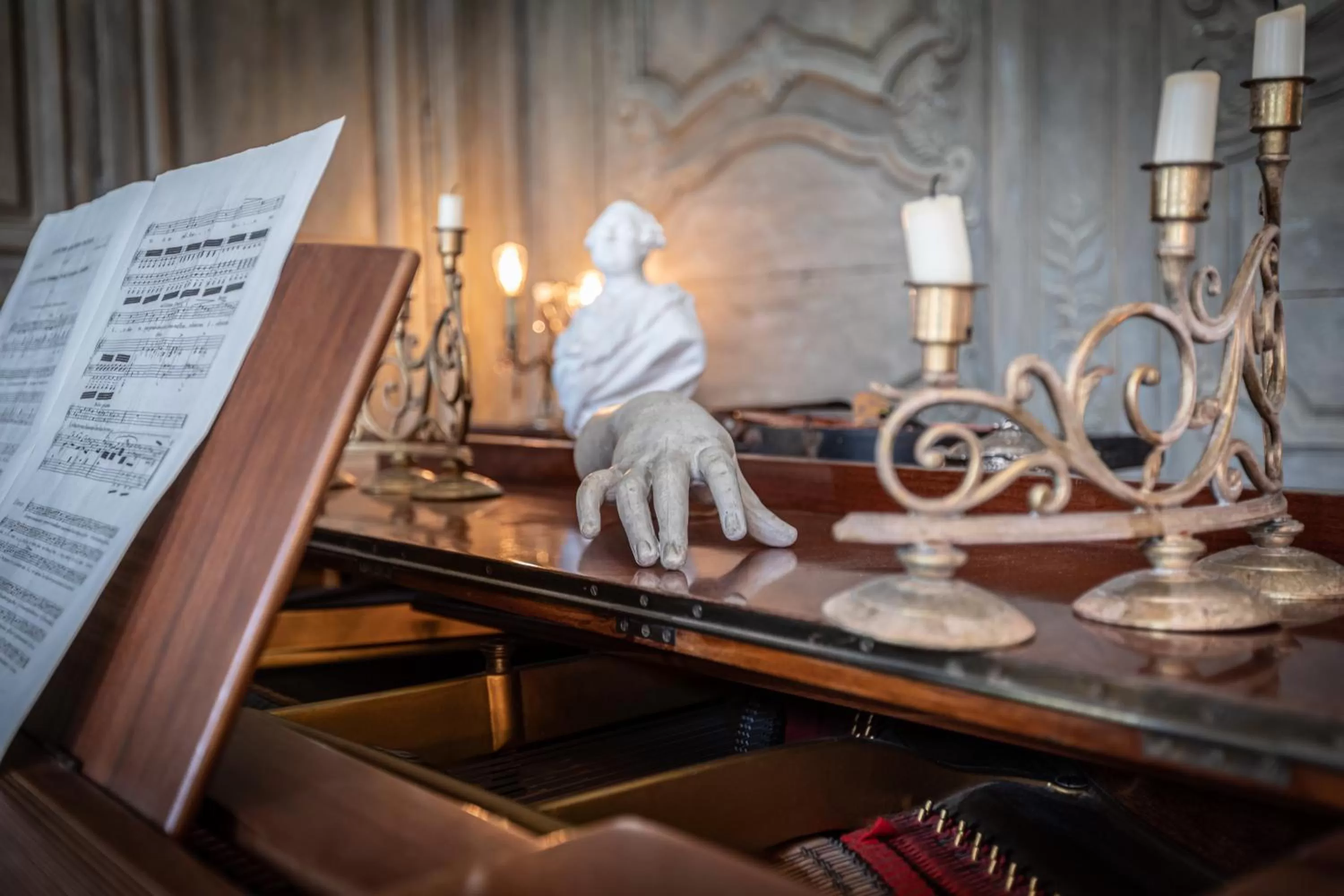 L'Hotel de Panette, Un exceptionnel château en ville - Chambres historiques, parking - Petit Déjeuner offert