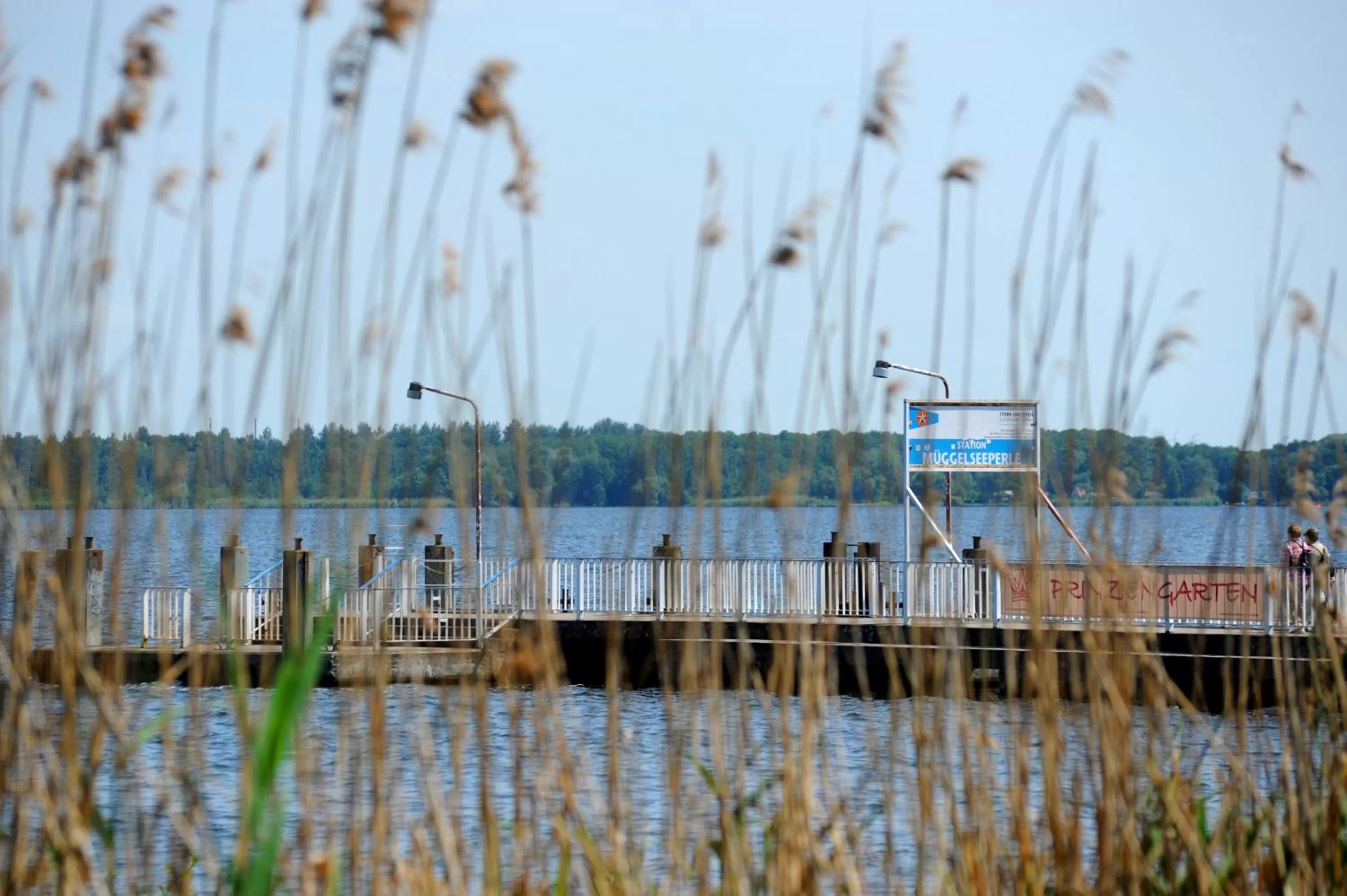 Day in Müggelseeperle