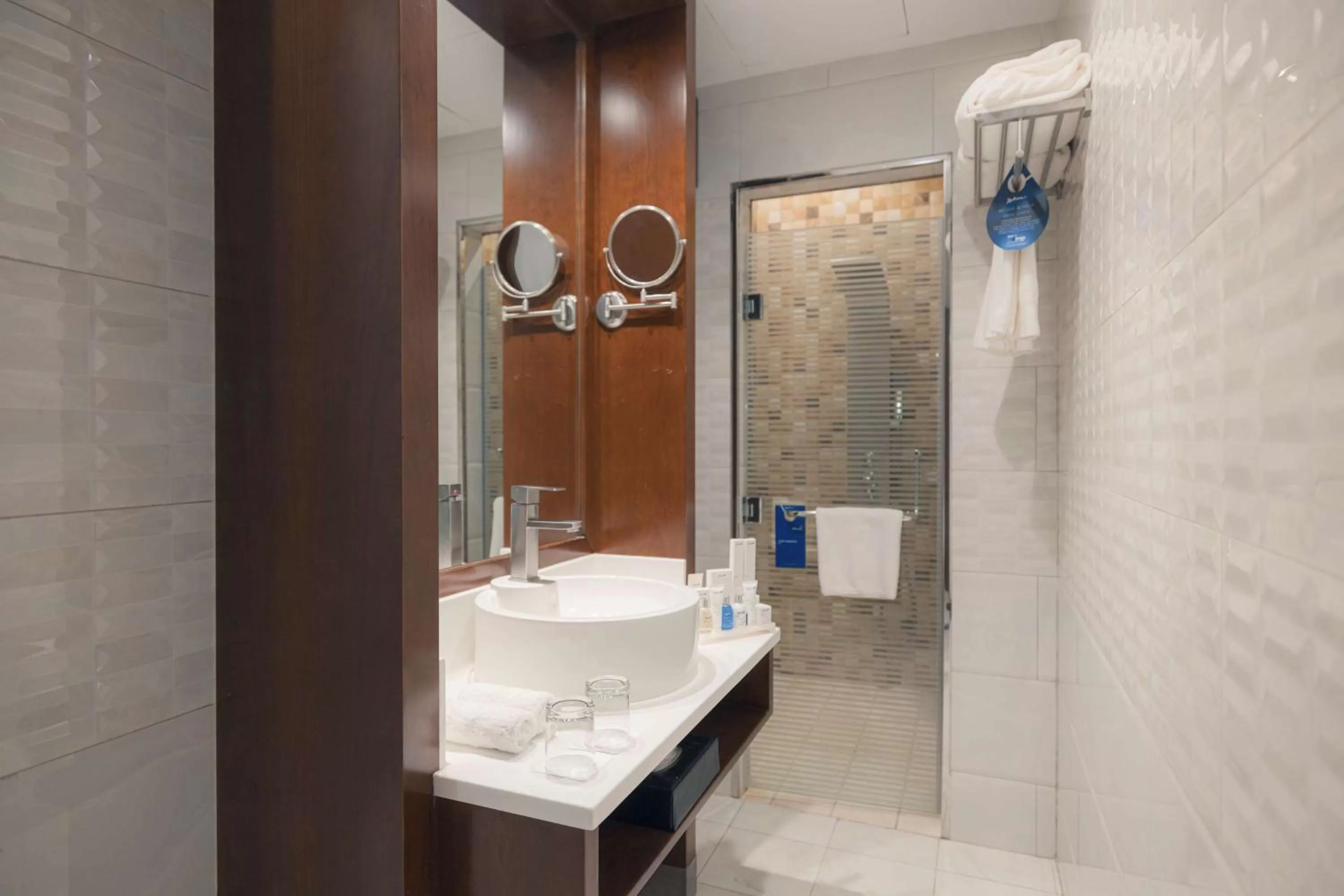 Bathroom in Radisson Blu Hotel, Buraidah