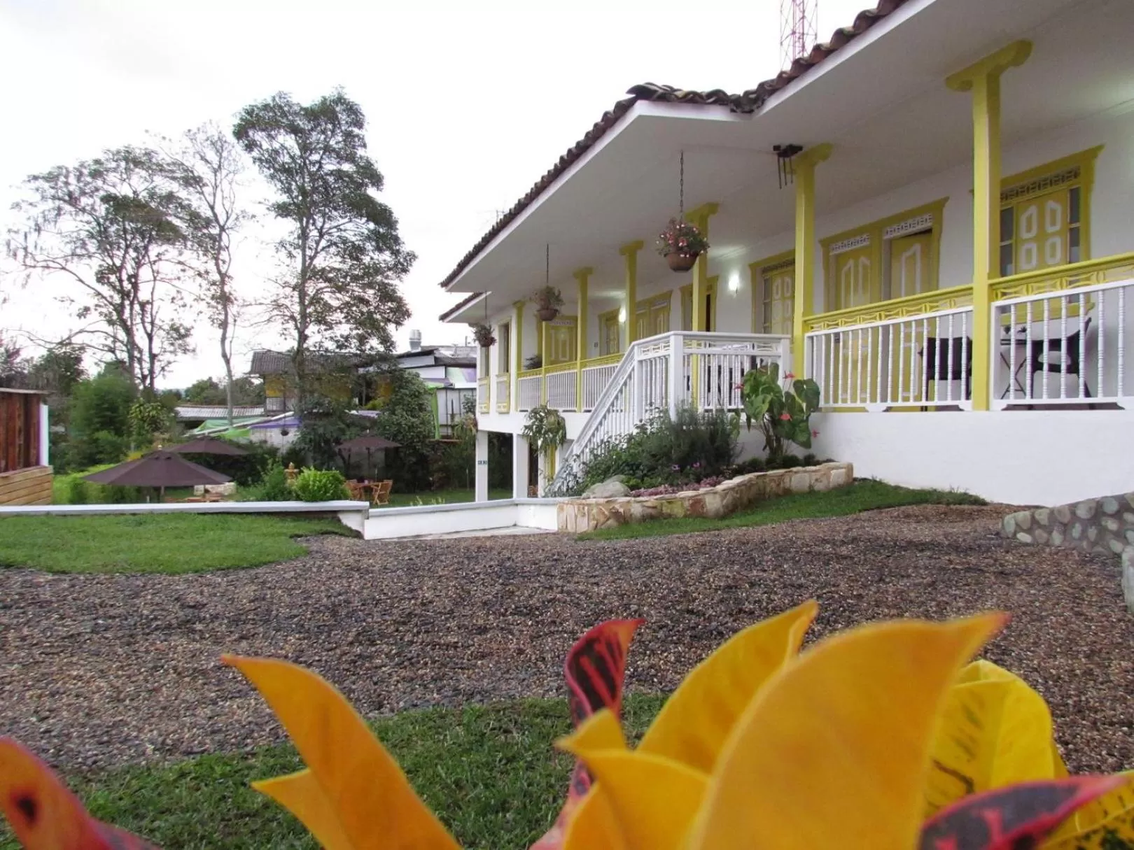 View (from property/room) in Hotel Salento Plaza