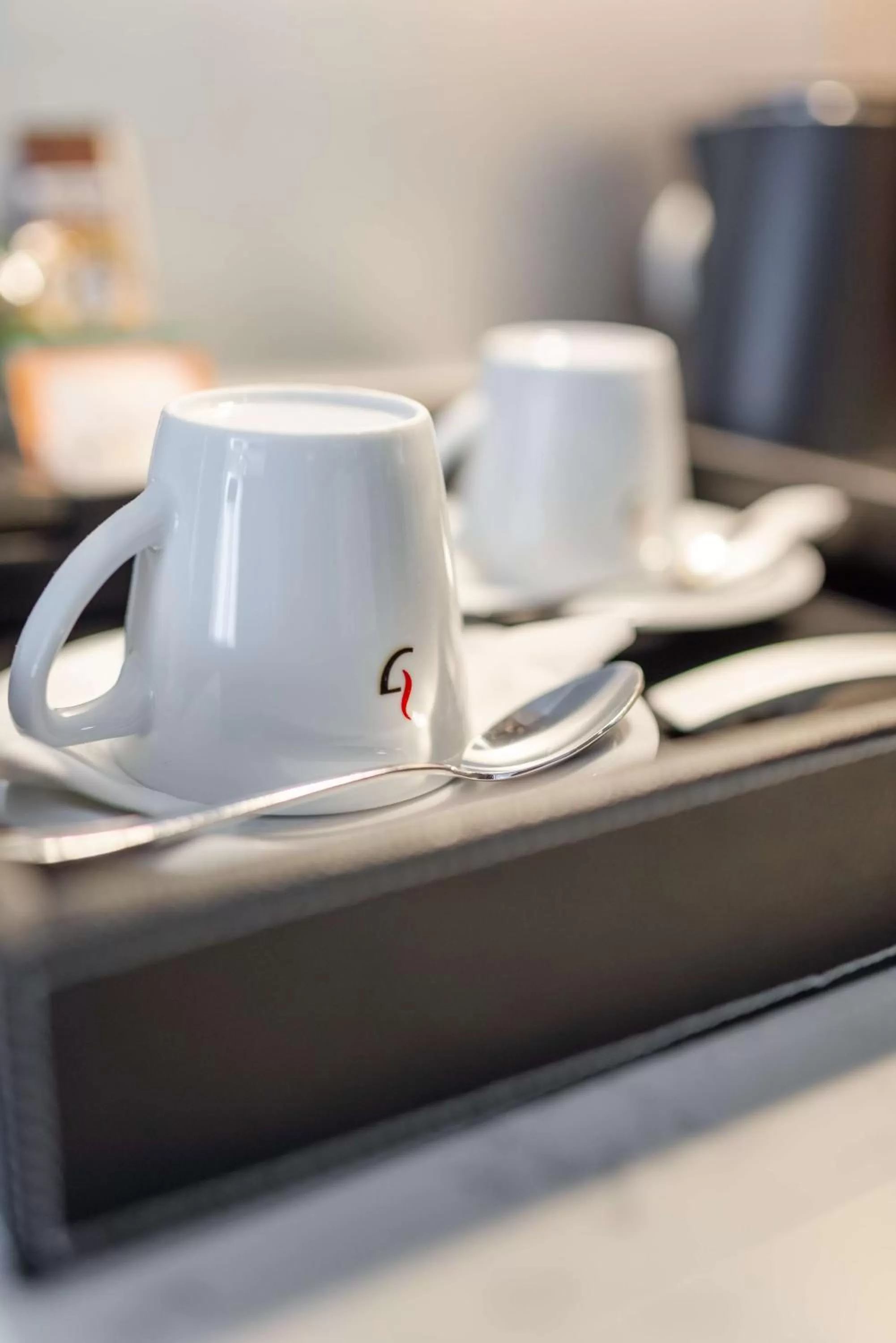 Other in Radisson Blu Udaipur Palace Resort & Spa