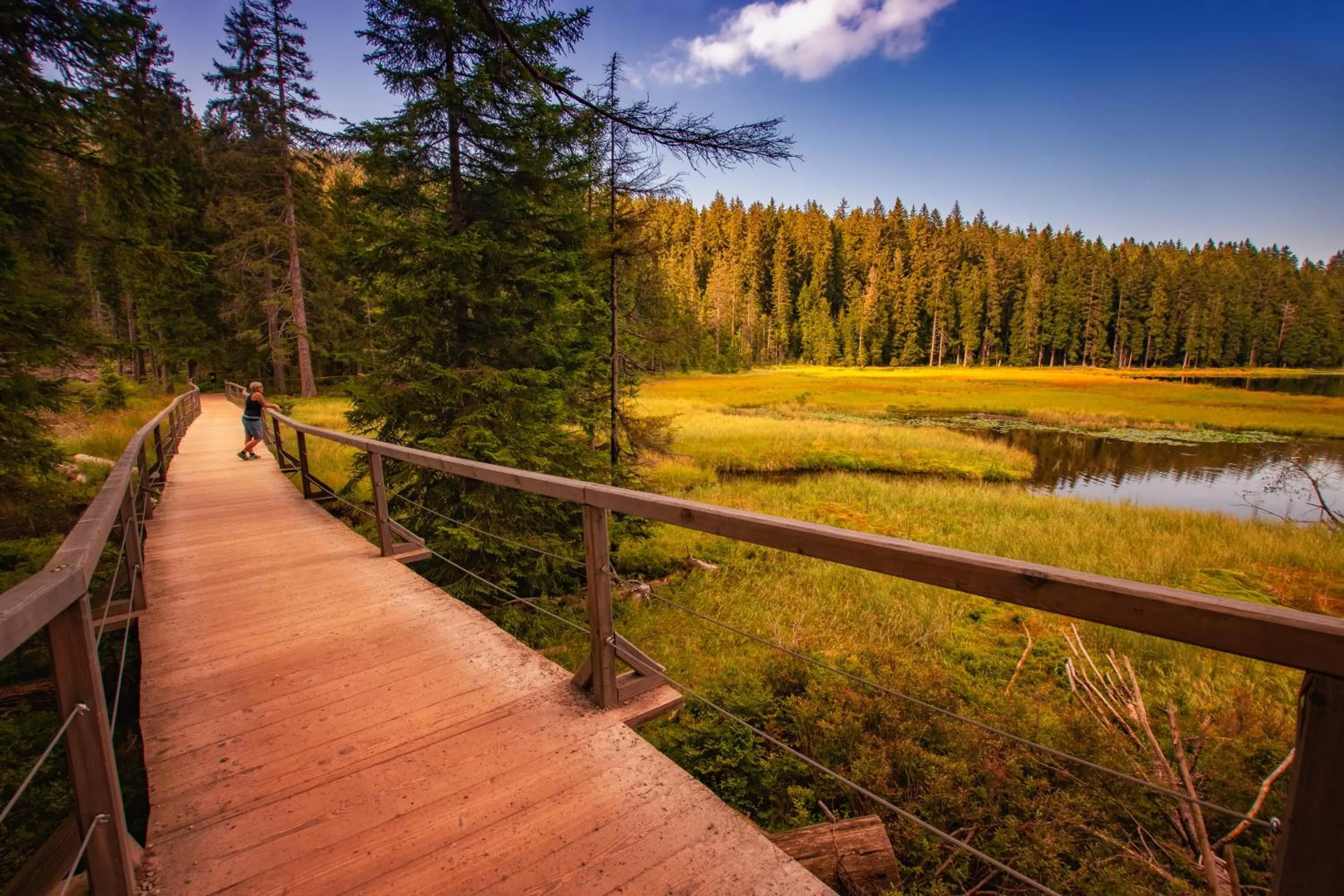 Natural landscape in Wander und Aktiv Hotel Rösslwirt