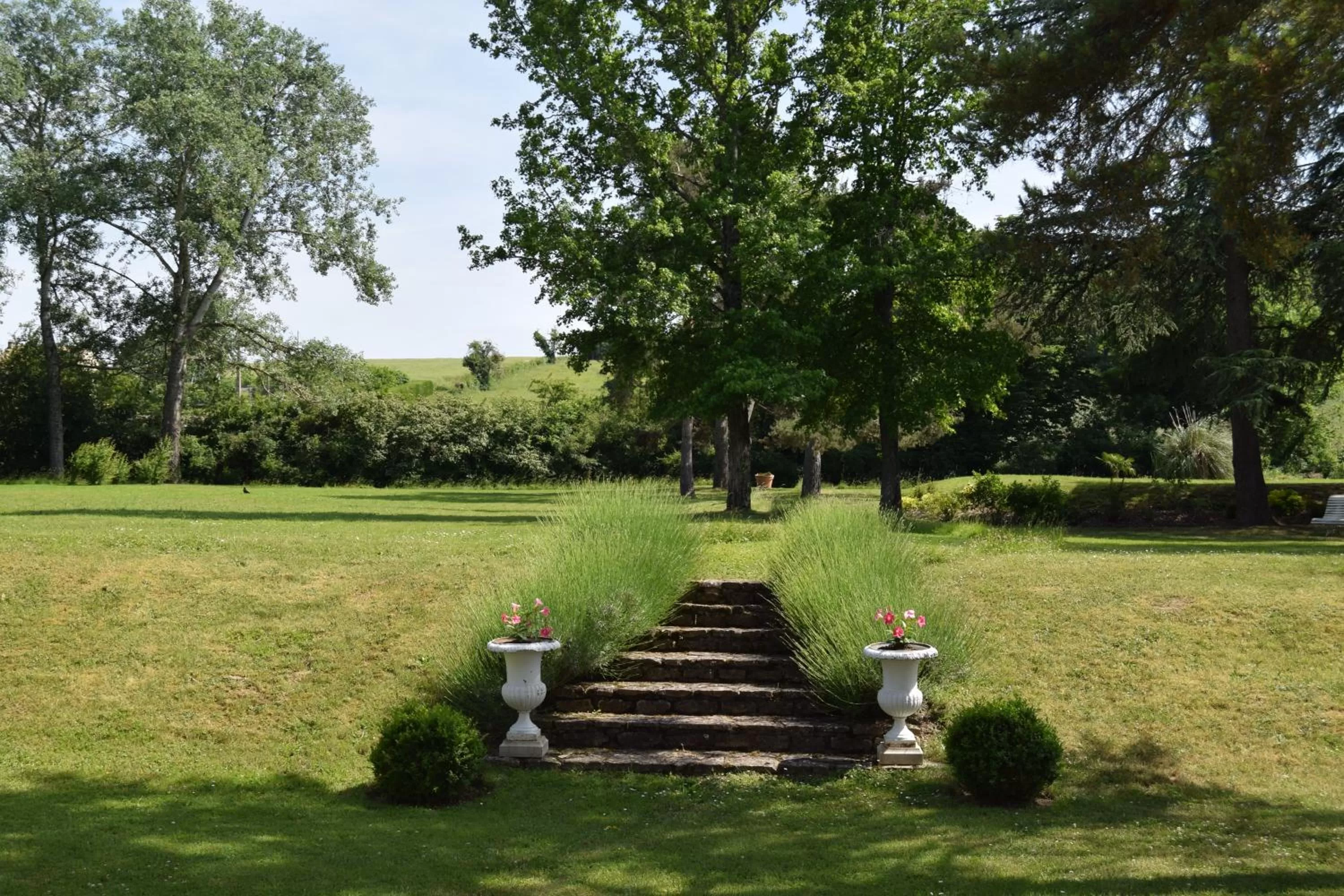 Natural landscape, Garden in La Rochelière