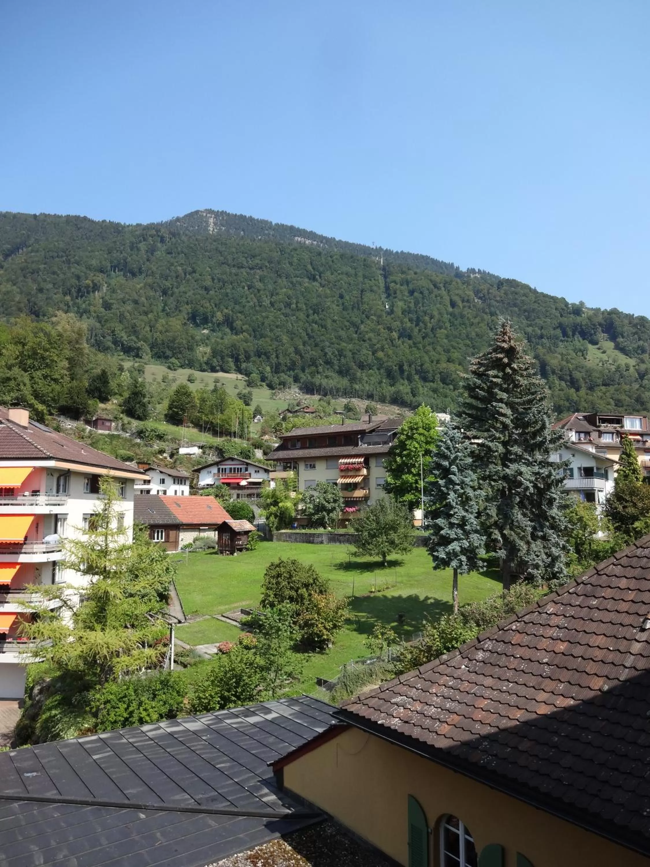 Natural landscape in Hotel Schweizerhof