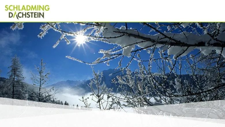 Natural landscape in Hotel Vitaler Landauerhof