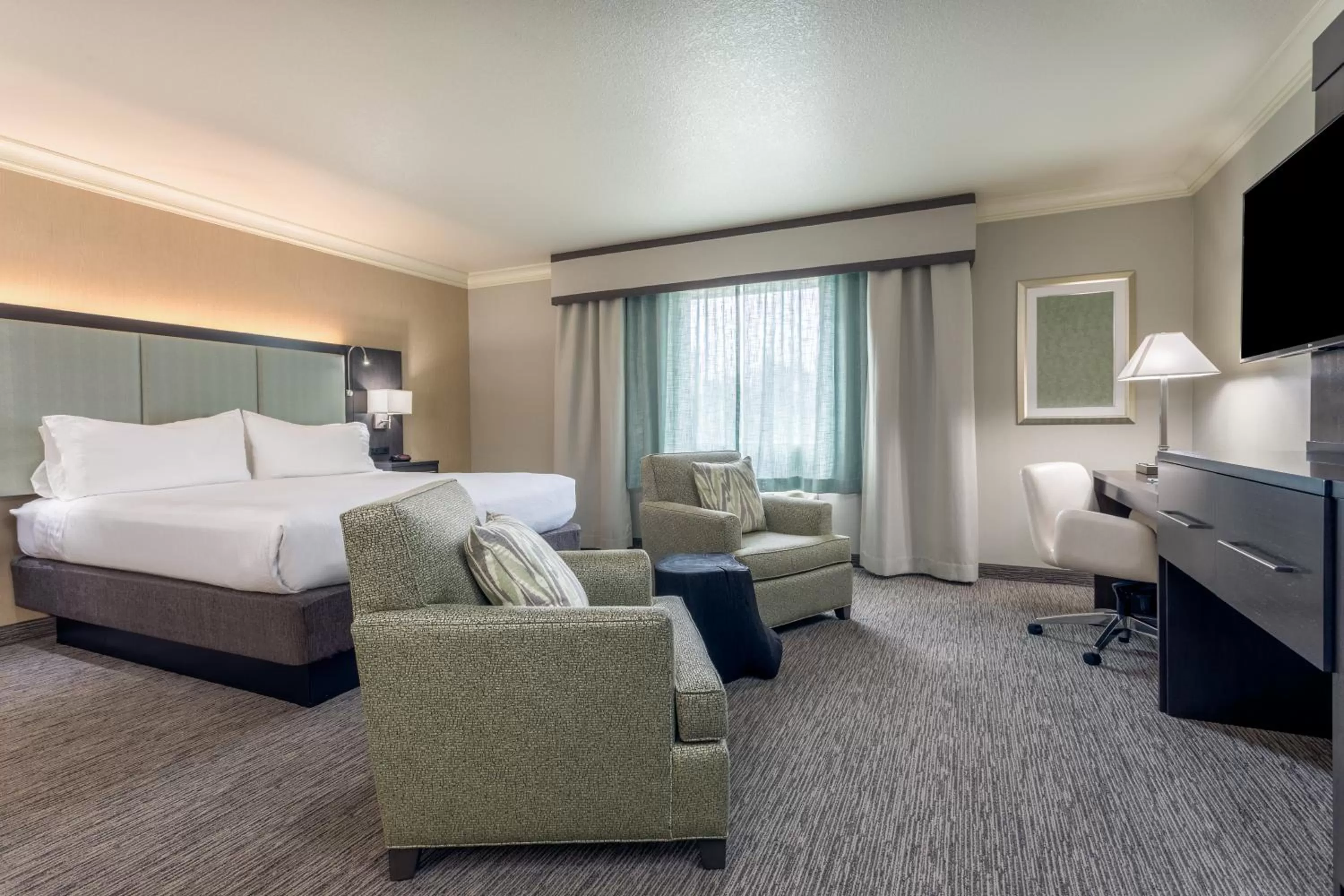Photo of the whole room, Bed in Holiday Inn Auburn by IHG