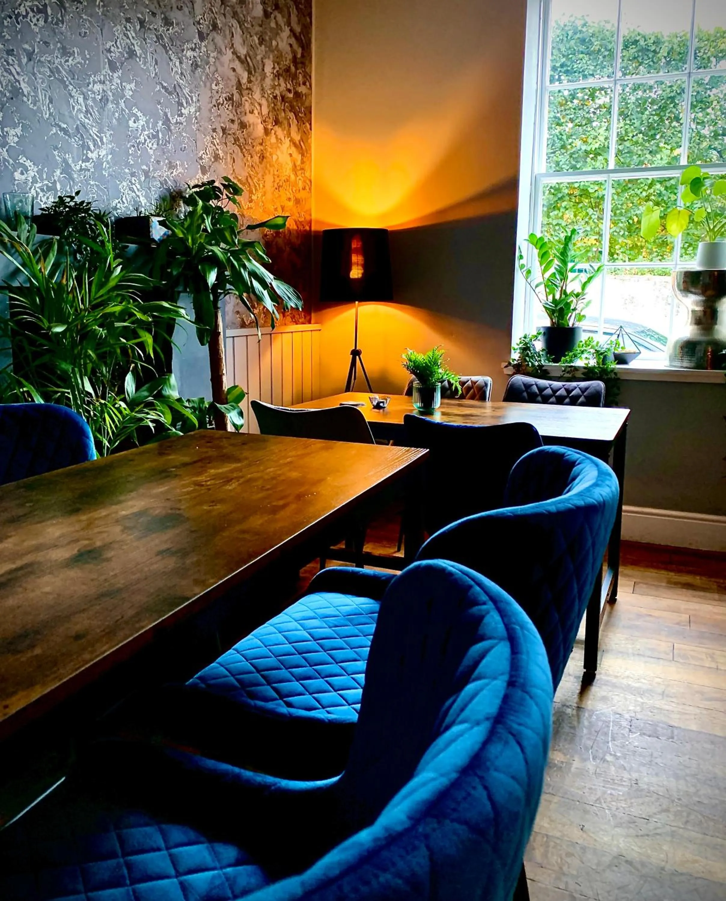 The Capon Tree Town House