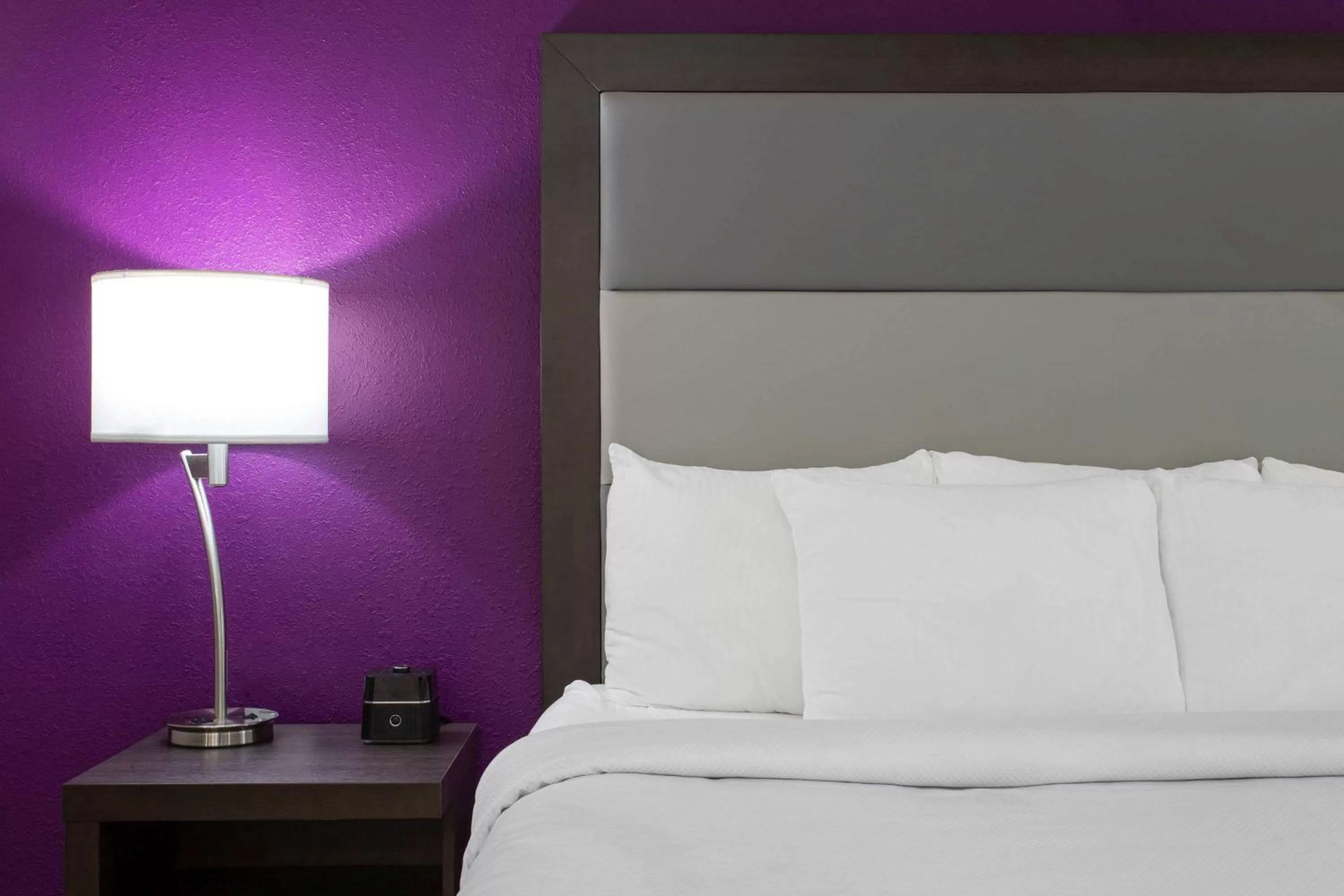 Photo of the whole room, Bed in La Quinta by Wyndham Effingham