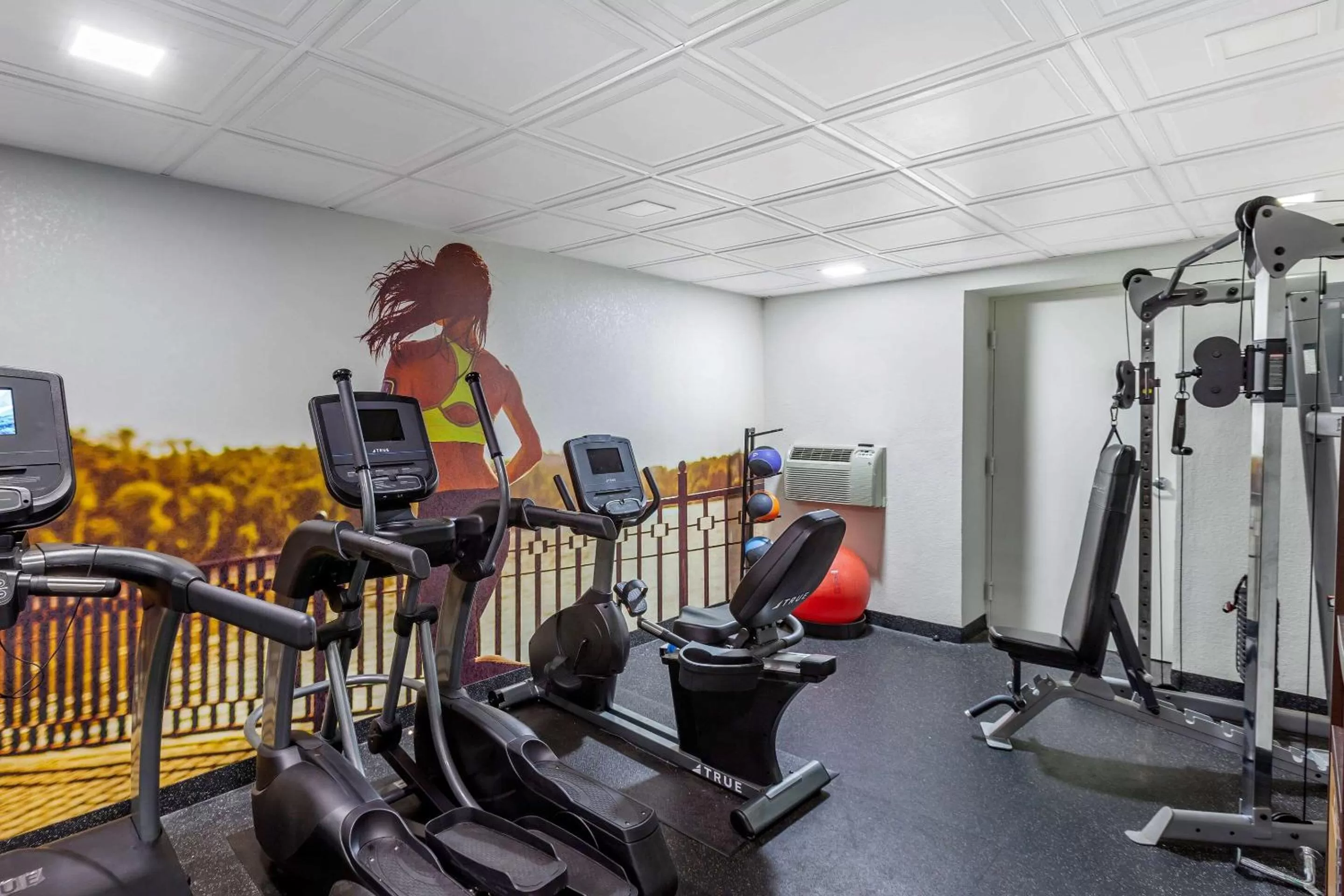 Fitness centre/facilities in Clarion Pointe Racine - Mount Pleasant