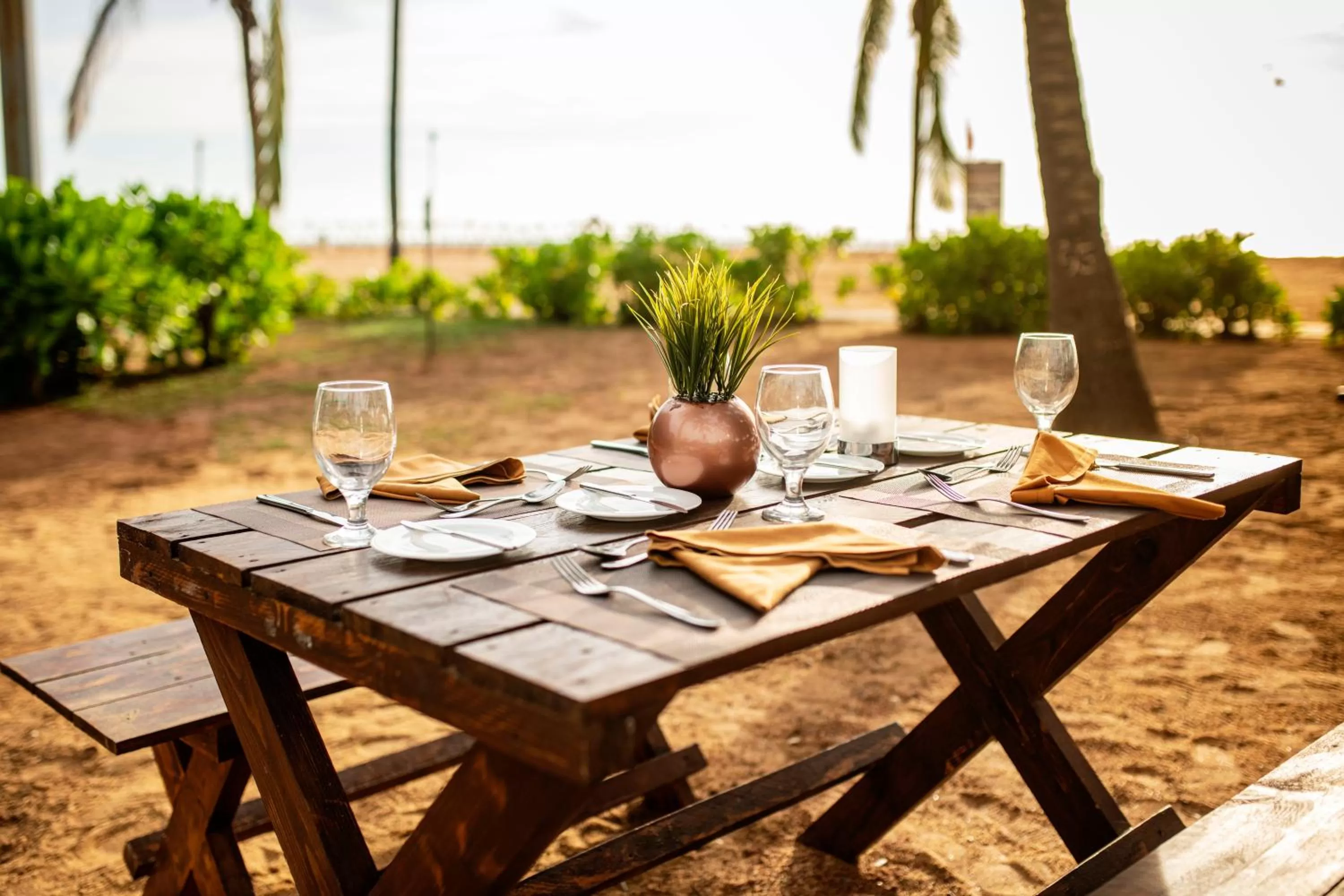 Garden in Club Hotel Dolphin