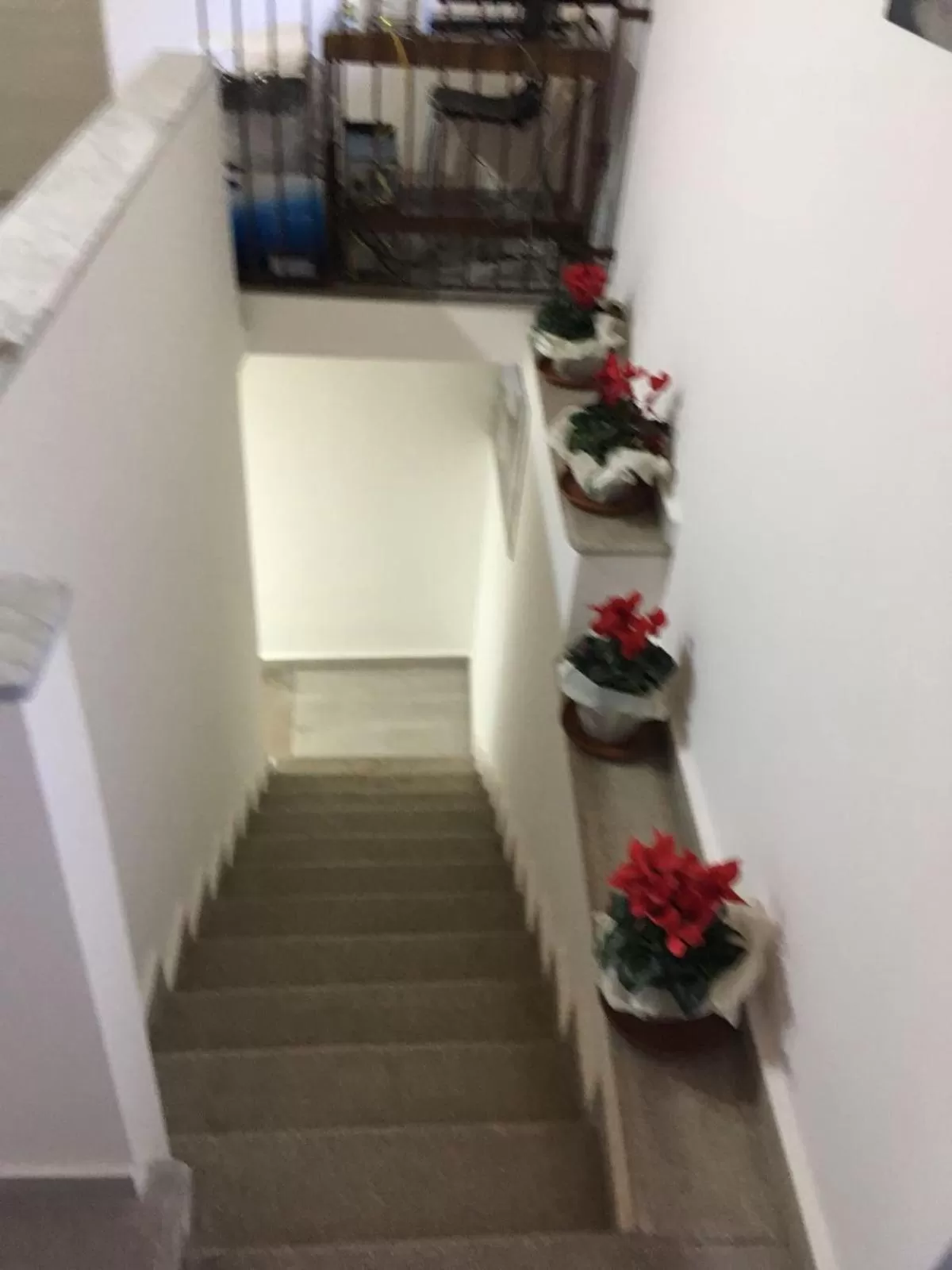 Facade/entrance in 3 A b&b