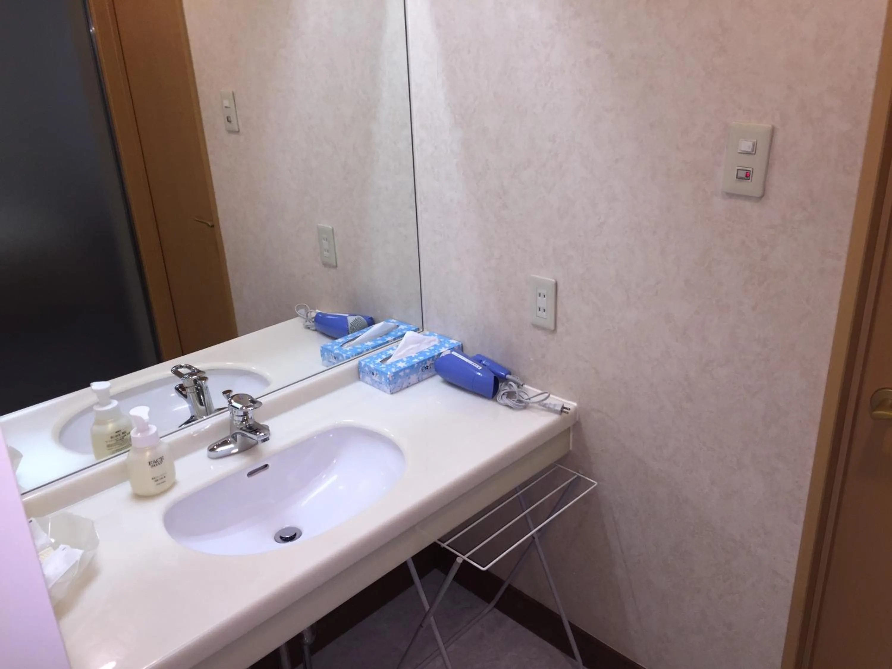 Bathroom in Nasushiobara Station Hotel