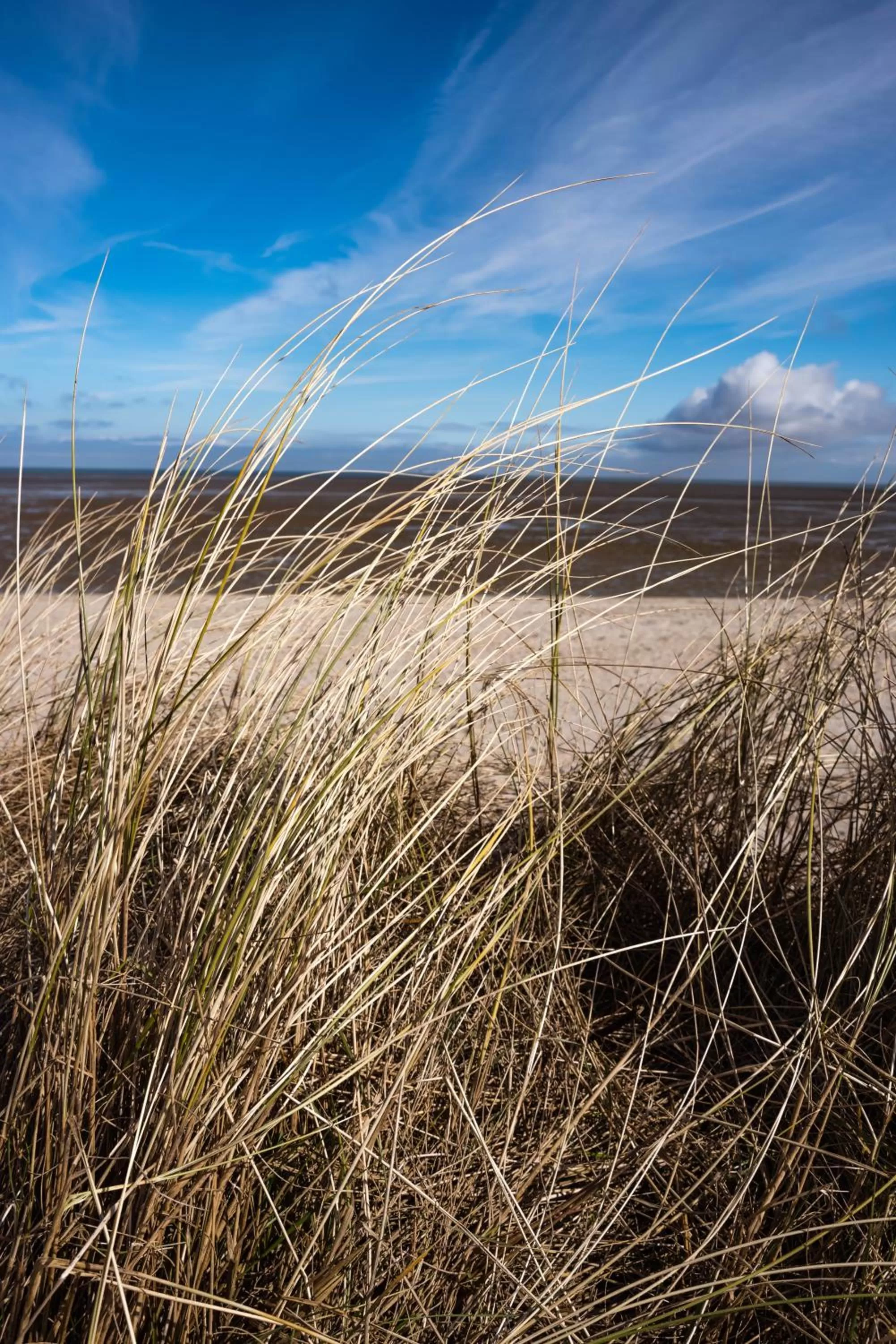 Beach in Hotel Neptun