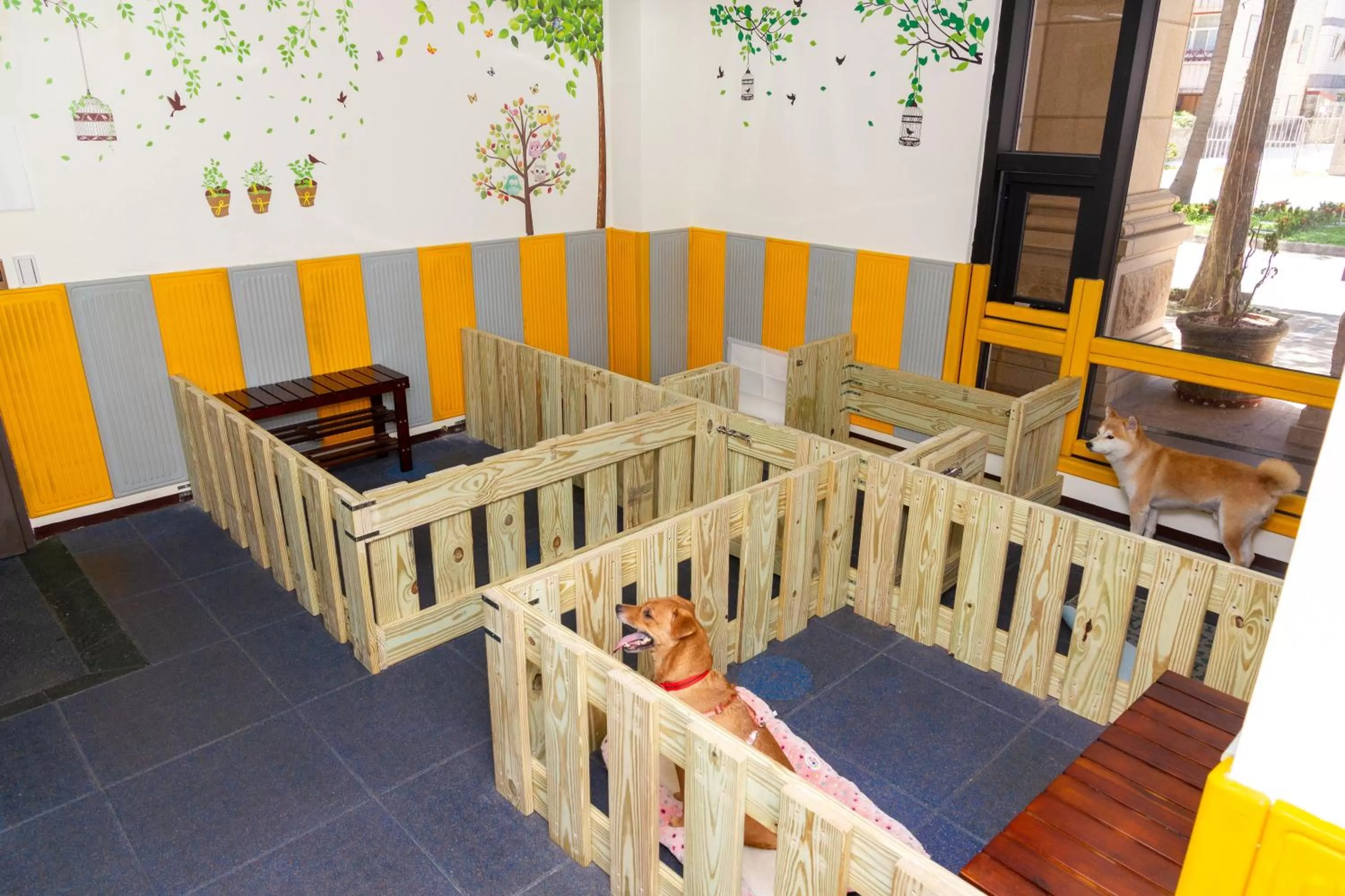 Pets in Fullon Hotel Hualien