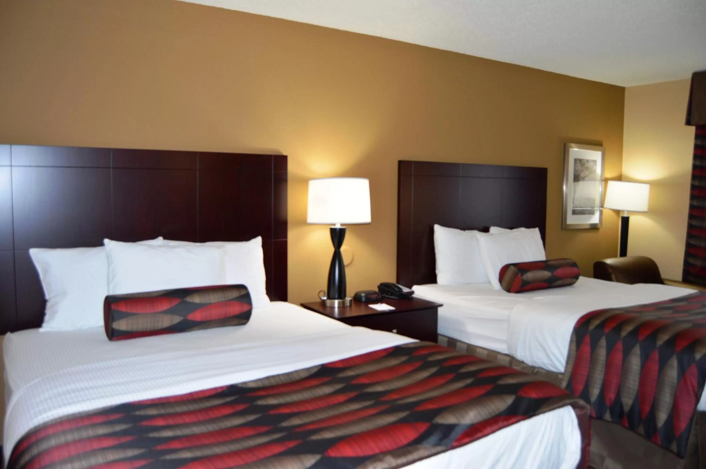 Queen Room with Two Queen Beds - Non-Smoking in Baymont by Wyndham Ardmore I-35