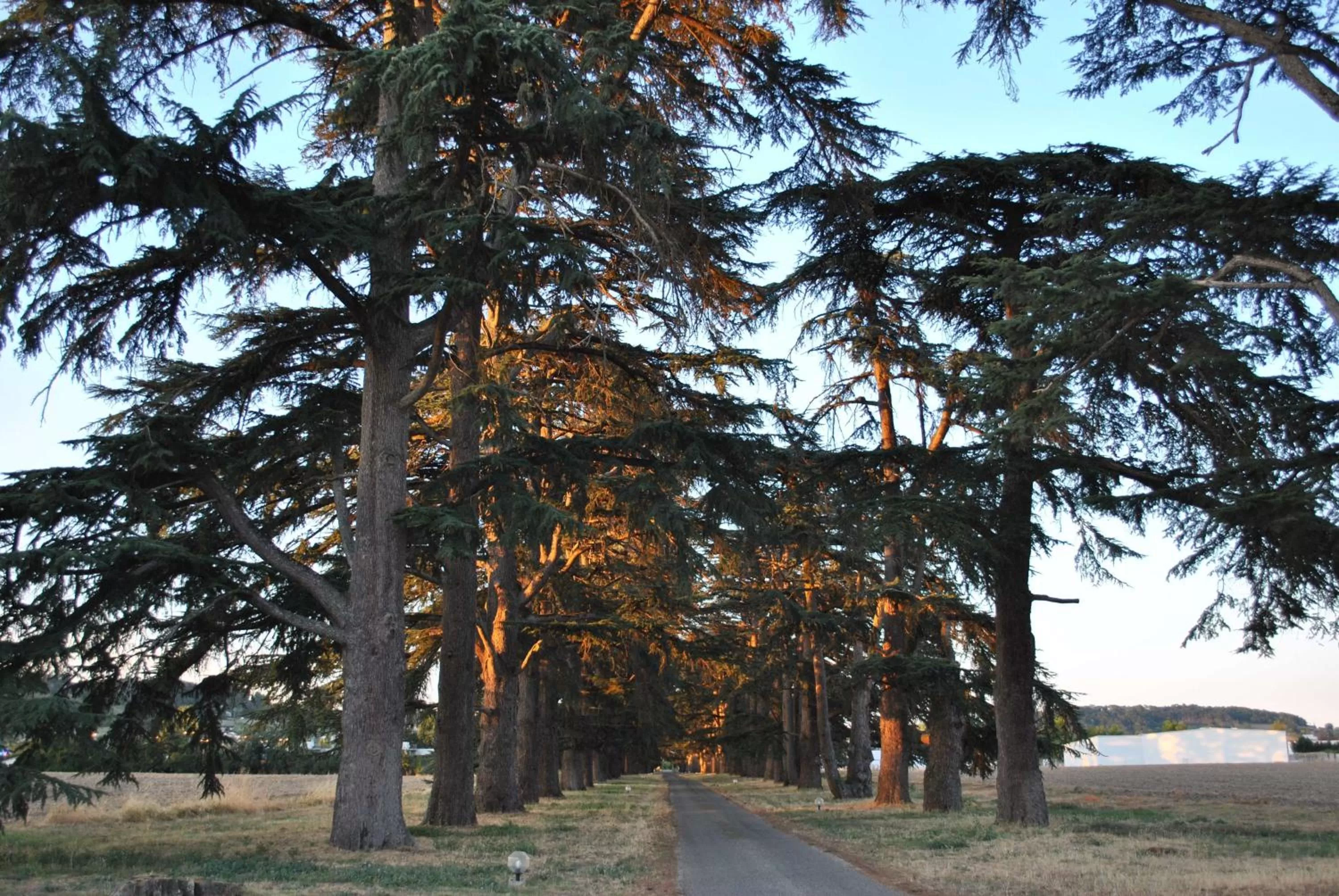 Facade/entrance in Logis Hotels - Château Saint Marcel