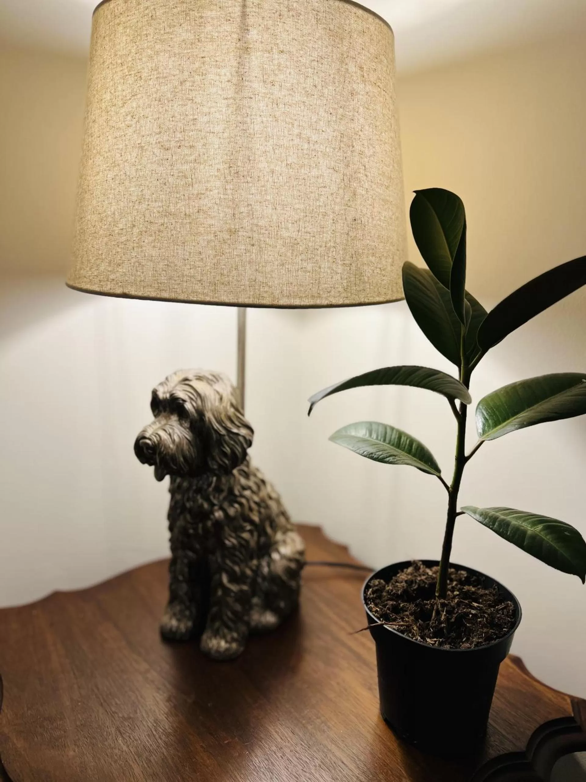 Dining area in St Duthus Villa Guesthouse
