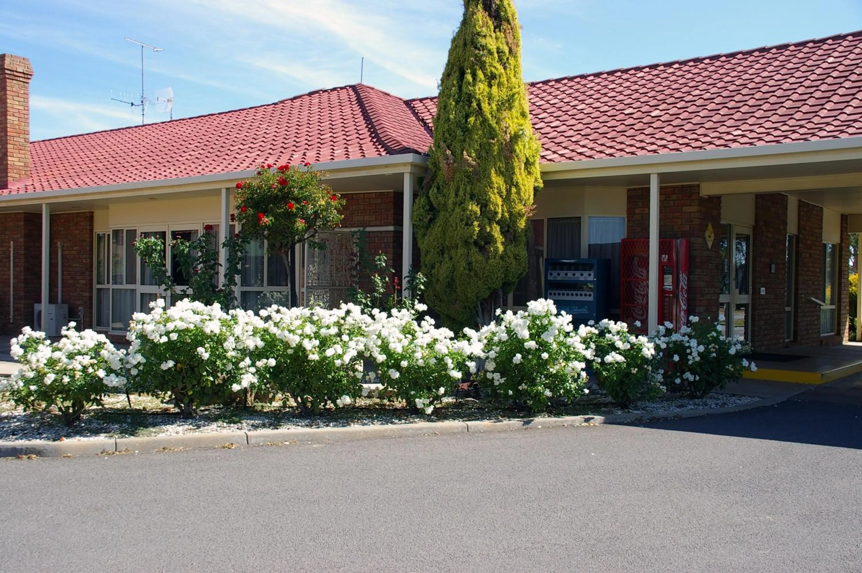 Day in Pines Country Club Motor Inn