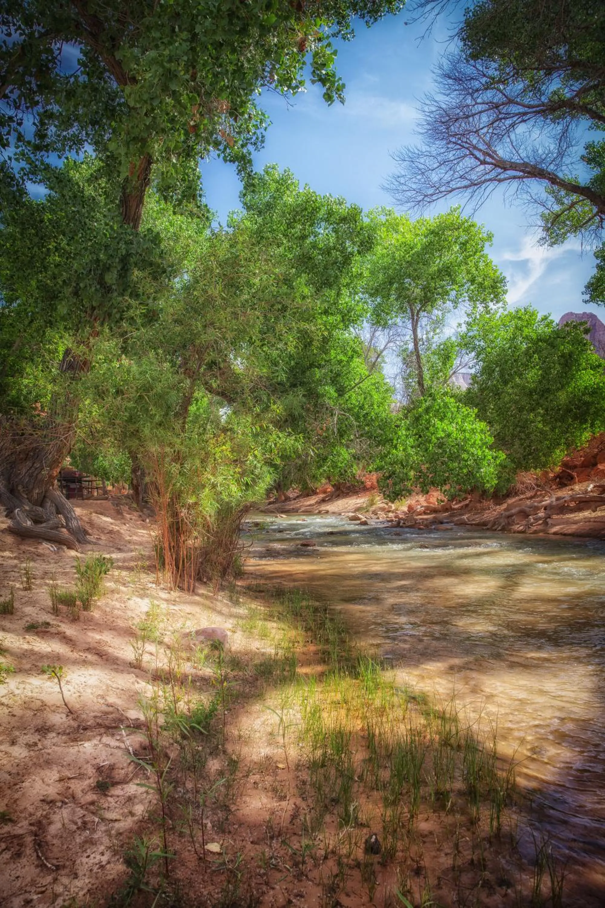 Natural landscape in Cable Mountain Lodge