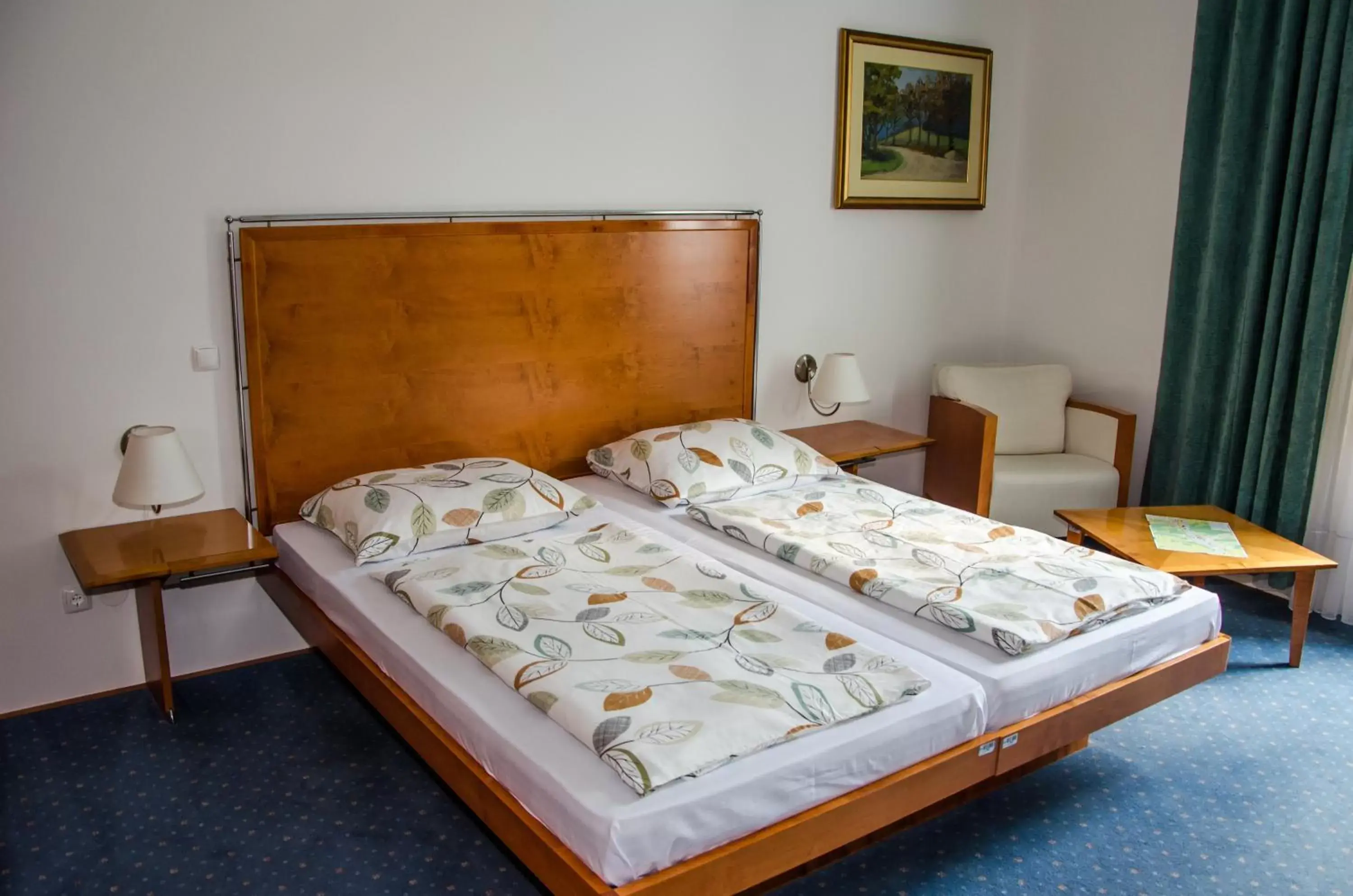 Double Room in Rooms Savinja Double Room in Rooms Savinja