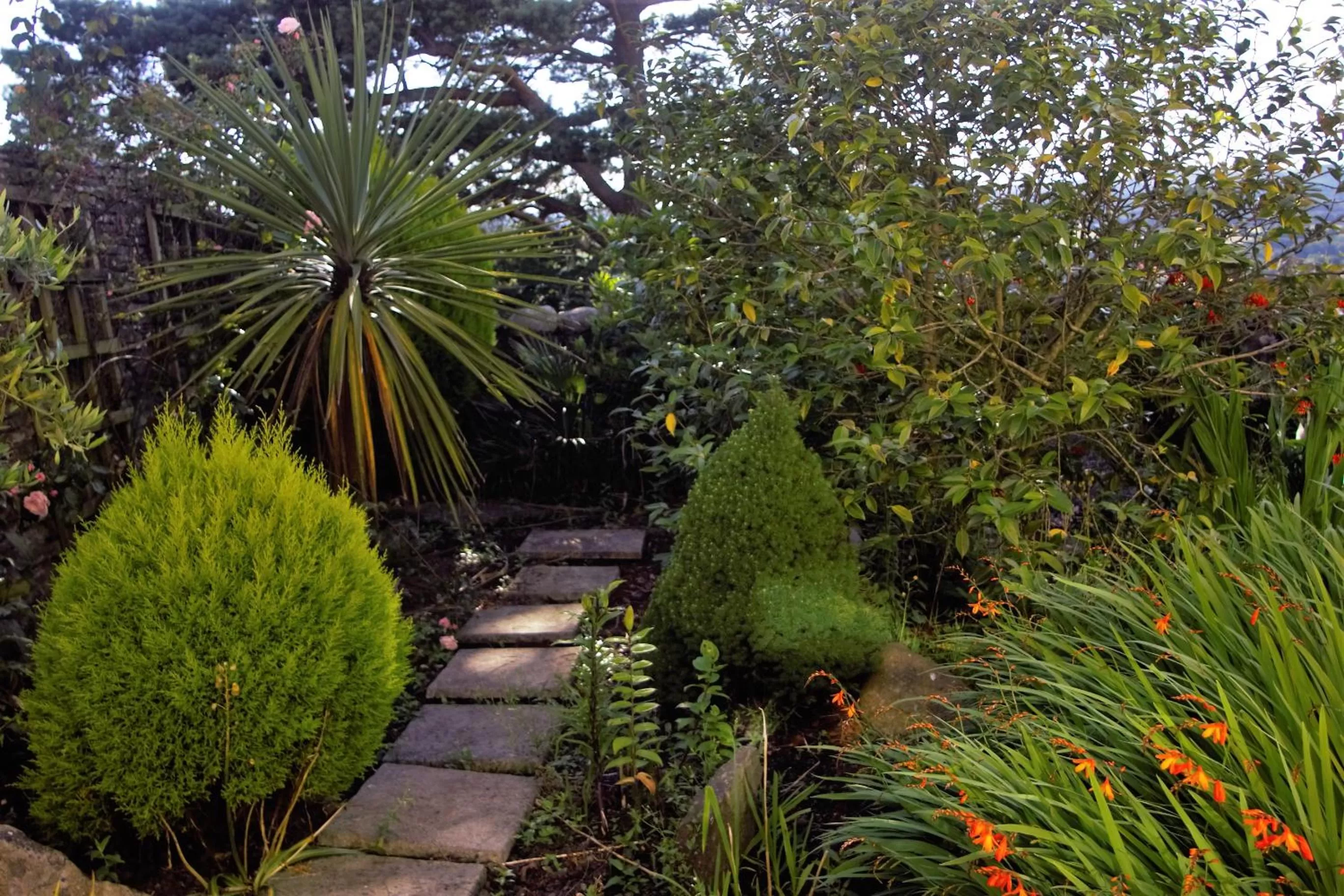Garden in Plas Newydd Farm