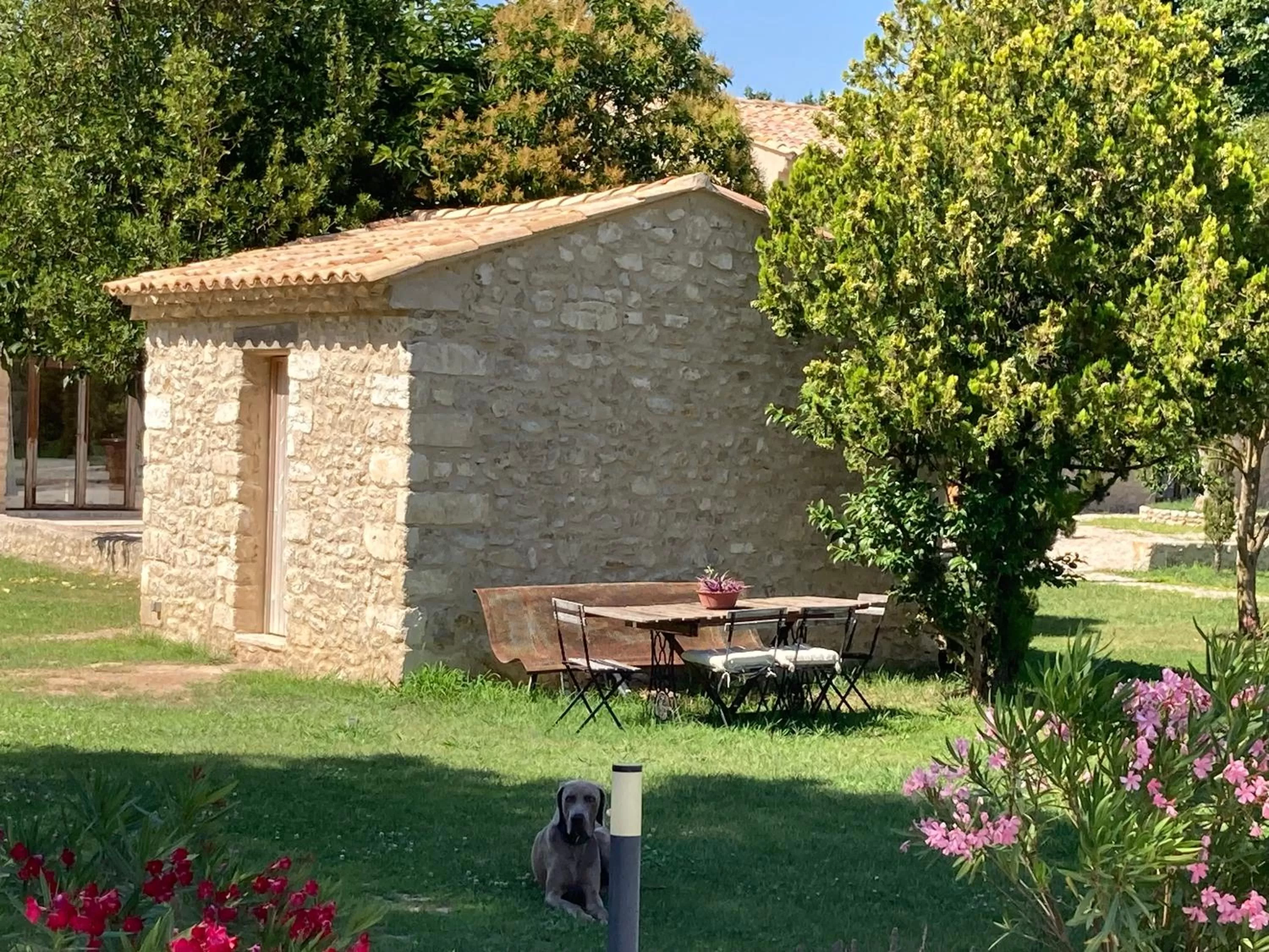 Day in Mas Galinette