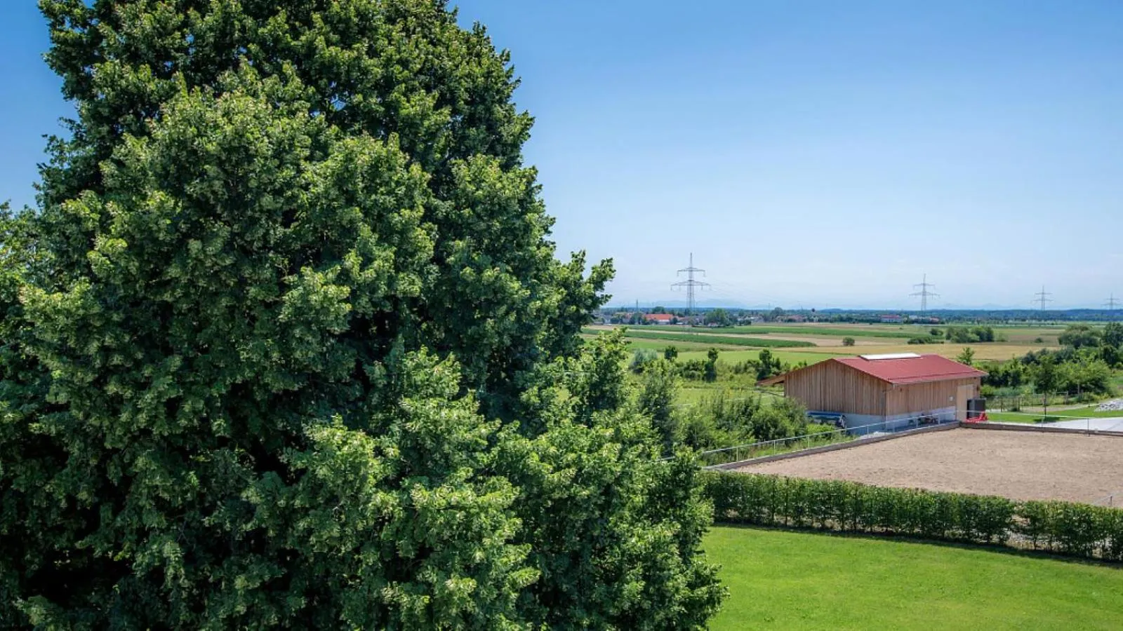 Garden in Hotel Parsberg