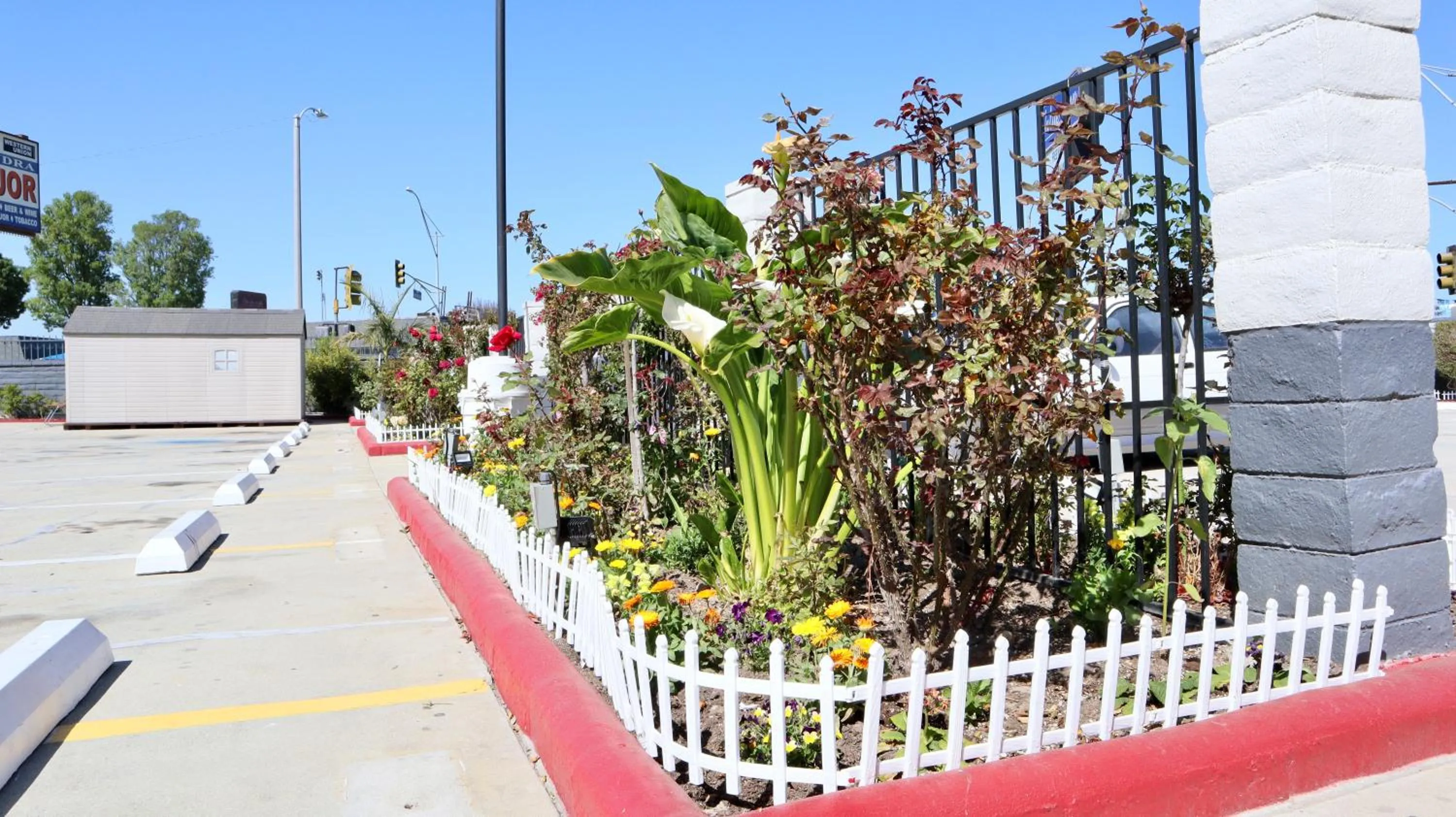 Garden in Value Inn Bellflower