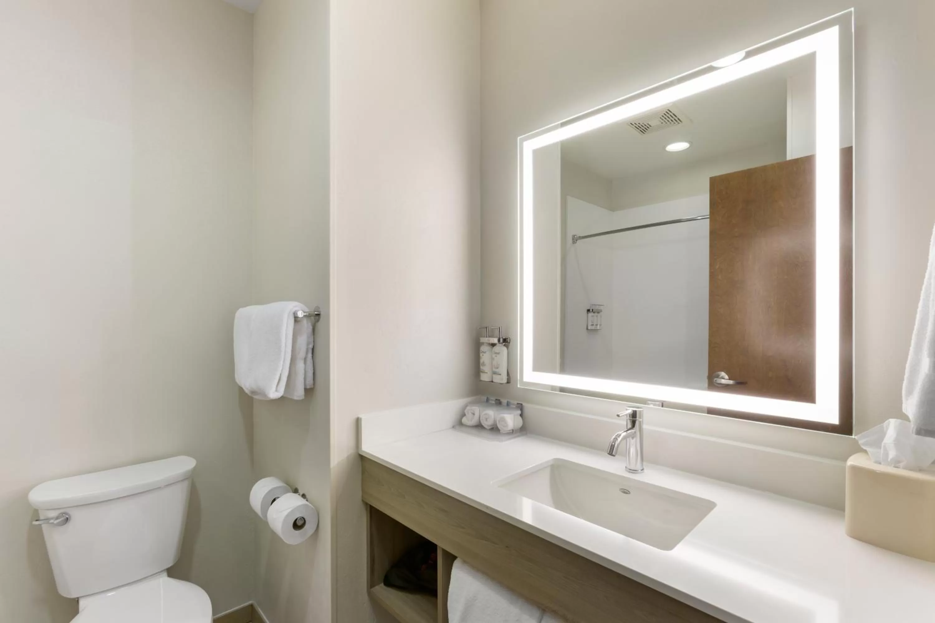 Bathroom in Holiday Inn Express Belgrade-Bozeman Area by IHG