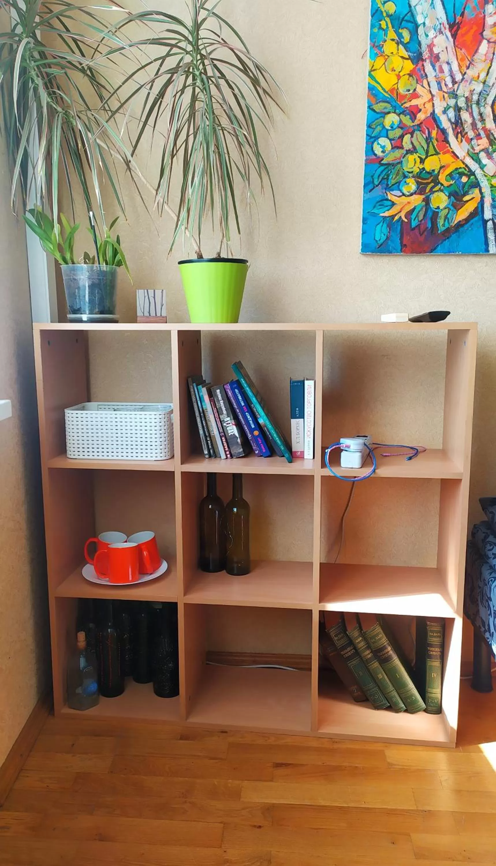 Photo of the whole room in Alaska Fox